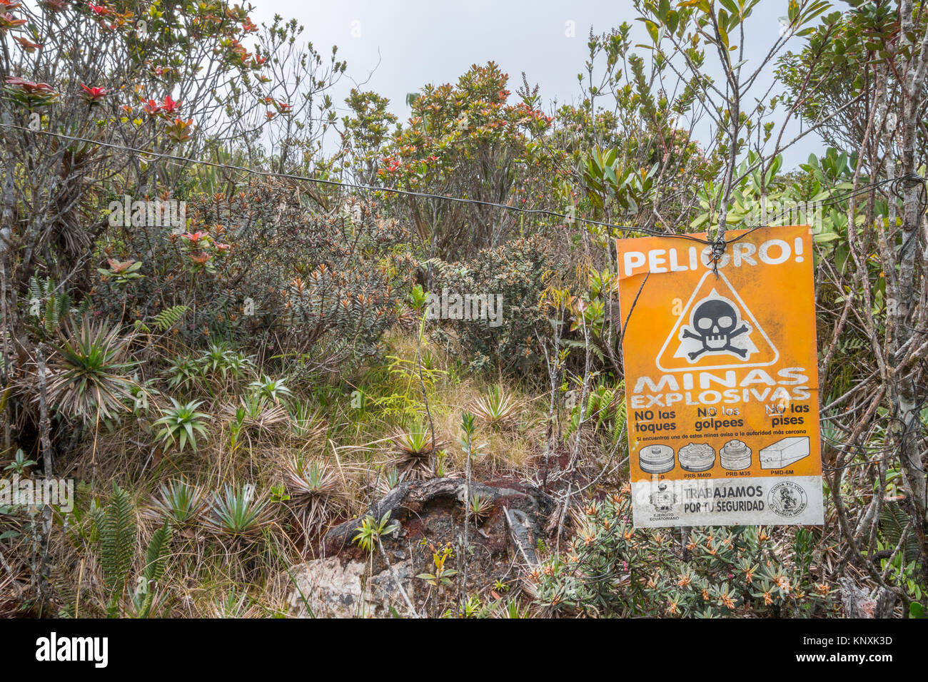 Champ de mines sur Paquisha Tepuy Alta dans la cordillère du Condor, le sud de l'Équateur a fait plus par le conflit frontalier avec le Pérou en 1995. La Tepu biodivers Banque D'Images