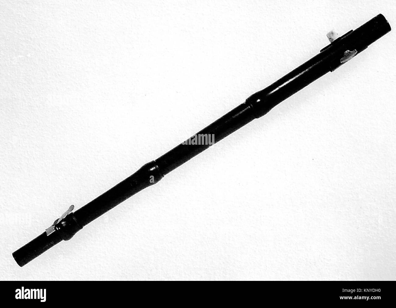 Enregistrement dupliqué de MET 209657 flûte en d, un instrument à vent avec corps tubulaire, trous pour doigts et embouchure, illustrant la conception historique de l'instrument de musique. Banque D'Images