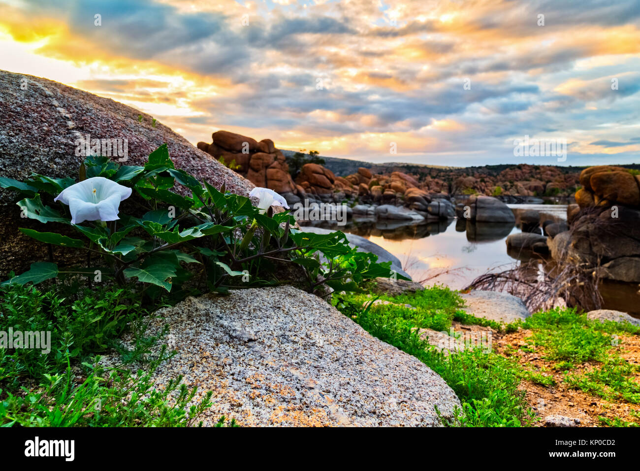 Watson Lake, Prescott en Arizona Banque D'Images