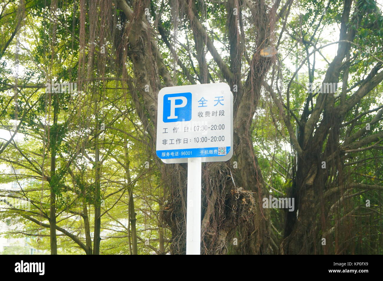 Shenzhen, Chine : un parking sans frais de publicité voiture temps indicateur Banque D'Images