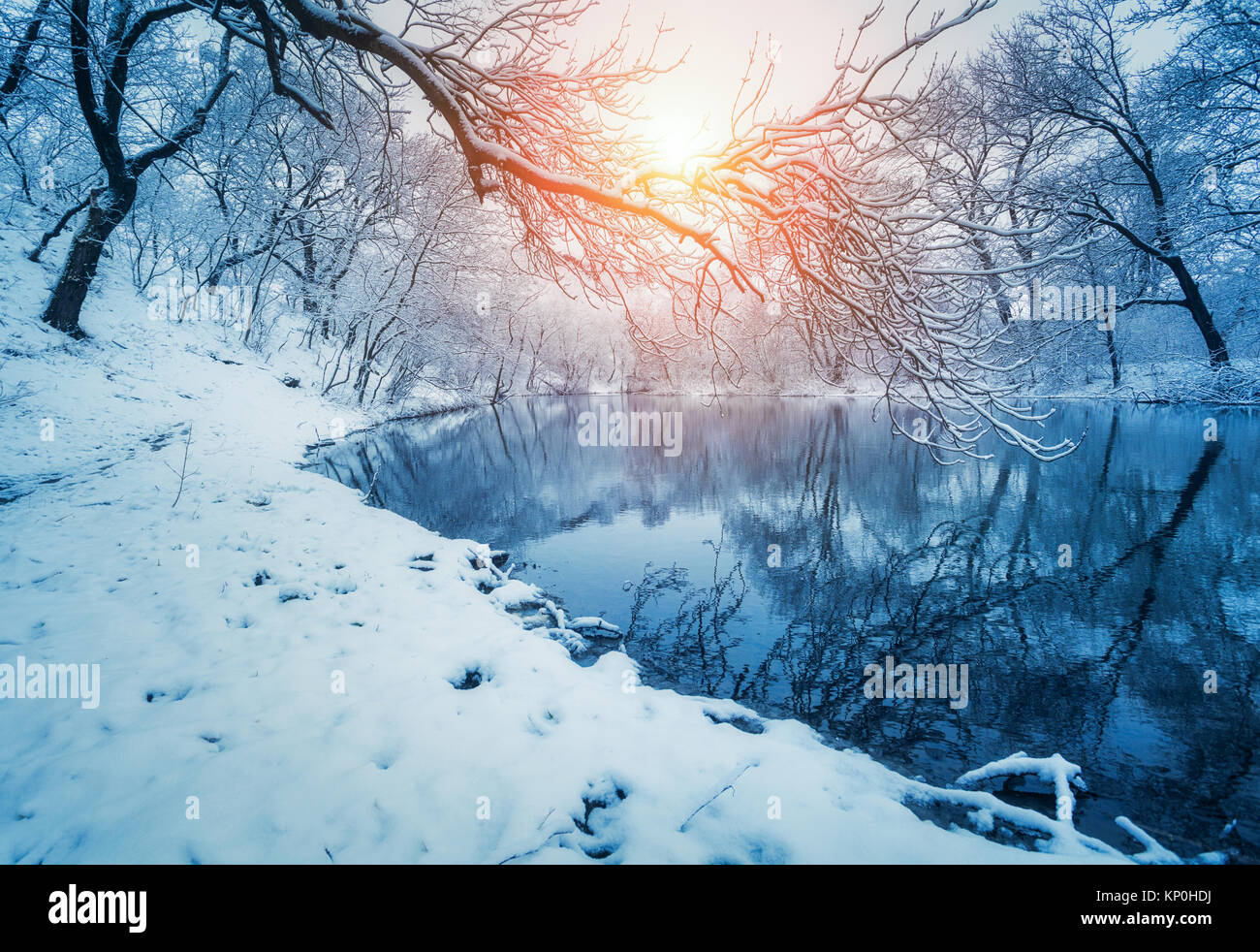 Forêt d'hiver sur la rivière au coucher du soleil. Paysage coloré avec snowy trees, rivière gelée avec reflet dans l'eau. Saisonnière. Arbres couverts de neige, lac, Banque D'Images