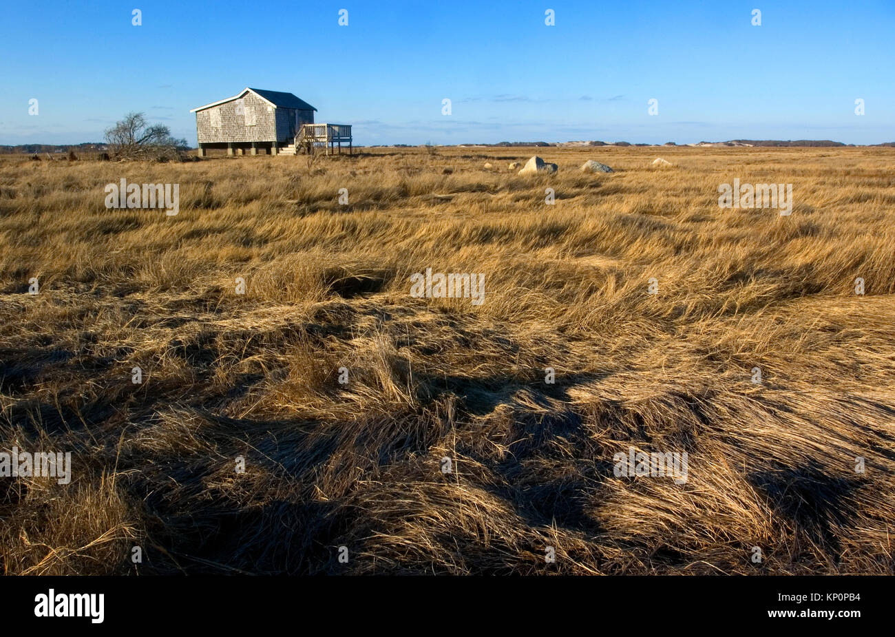 Une cabane dans le grand marais situé à Barnstable, Massachusetts, USA à Cape Cod sur une journée d'hiver. Banque D'Images