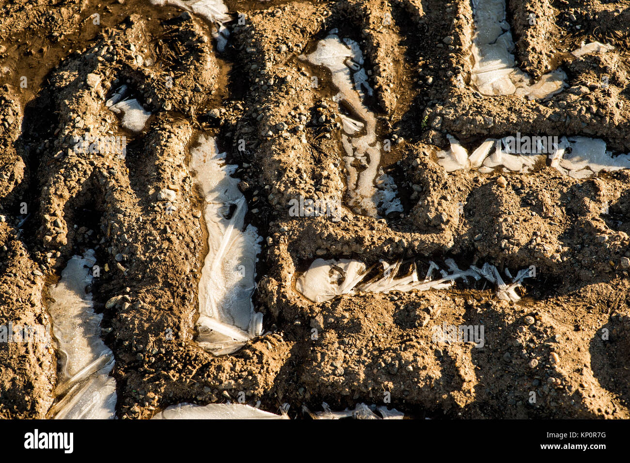 Les modèles et formes des traces de pneu dans la boue gelée ou de la Terre avec des flaques de glace Banque D'Images