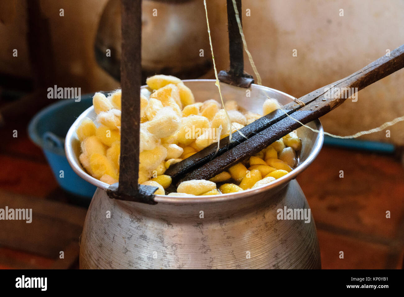 En soie naturelle l'agriculture et de la fabrication artisanale d'objets en soie Cocons - être bouilli pour lancer le processus d'effilochage brins de soie Banque D'Images