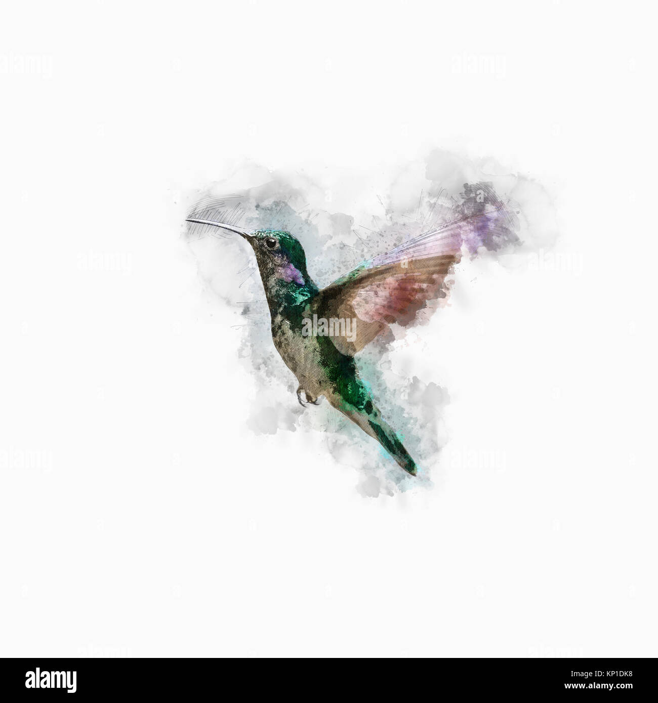 Amélioration de l'image numériquement une hummingbird hovering Banque D'Images