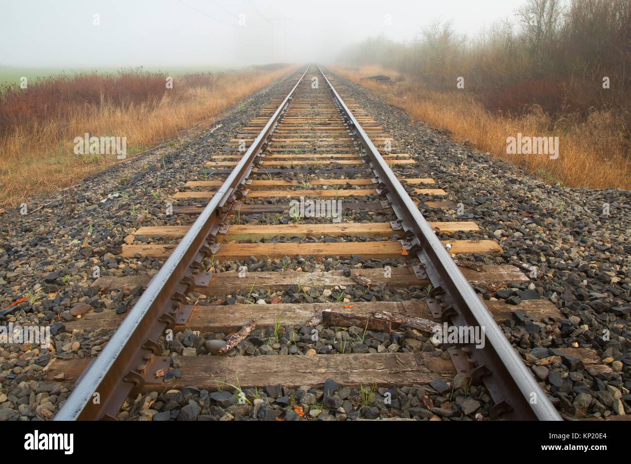 Railroad track, Ankeny National Wildlife Refuge, de l'Oregon. Banque D'Images