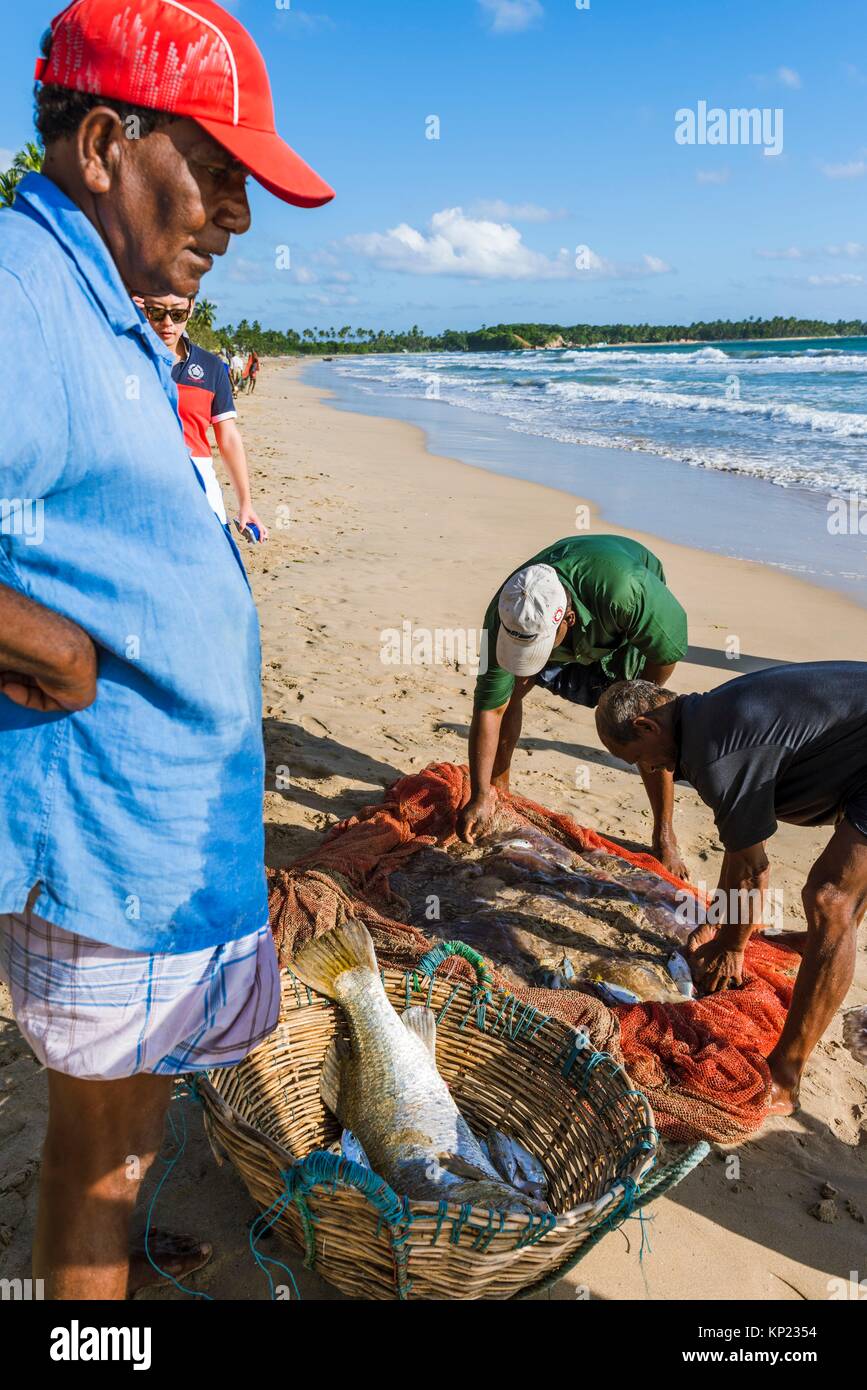 La Pêche à La Senne Sur La Plage De Uppuveli District De