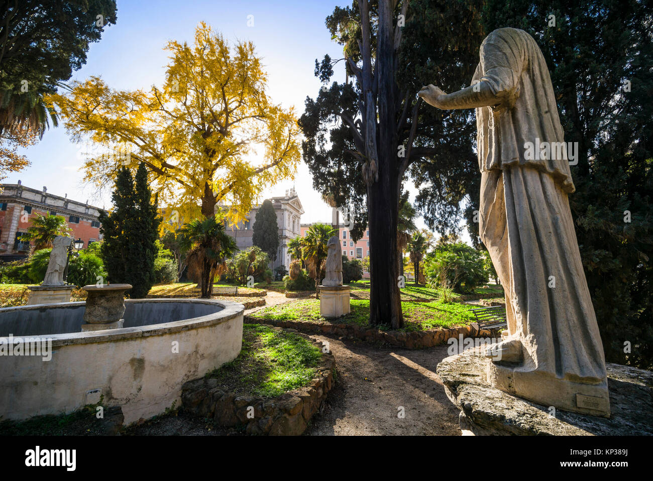 Rome. L'Italie. Feuillage d'automne jaune vif de l'arbre Ginkgo biloba dans les jardins de la Villa aldobrandini. Banque D'Images