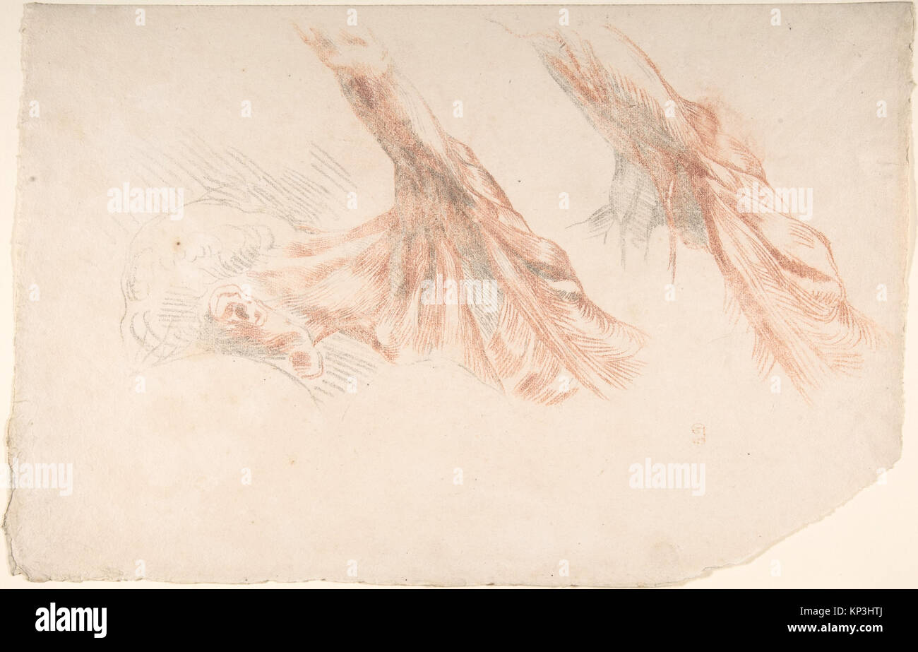 Dessin contre-épreuve d'Eugène Delacroix montrant deux études des muscles de l'épaule et du bras à la craie rouge et noire sur papier pondu, illustrant la structure anatomique et la forme musculaire. Banque D'Images Dessin contre-épreuve d'Eugène Delacroix montrant deux études des muscles de l'épaule et du bras à la craie rouge et noire sur papier pondu, illustrant la structure anatomique et la forme musculaire. Banque D'Images