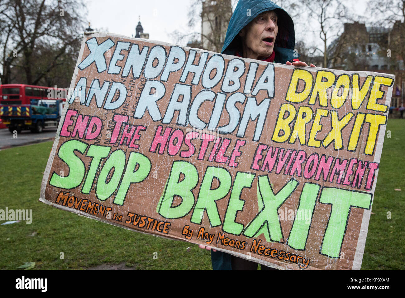 Londres, Royaume-Uni. 13 Décembre, 2017. Tony Gard du mouvement pour la justice manifestations à la place du Parlement le jour d'un Brexit important vote à la Chambre des communes à l'arrêt des Brexit et pour la liberté de mouvement doit s'étendre. Credit : Mark Kerrison/Alamy Live News Banque D'Images