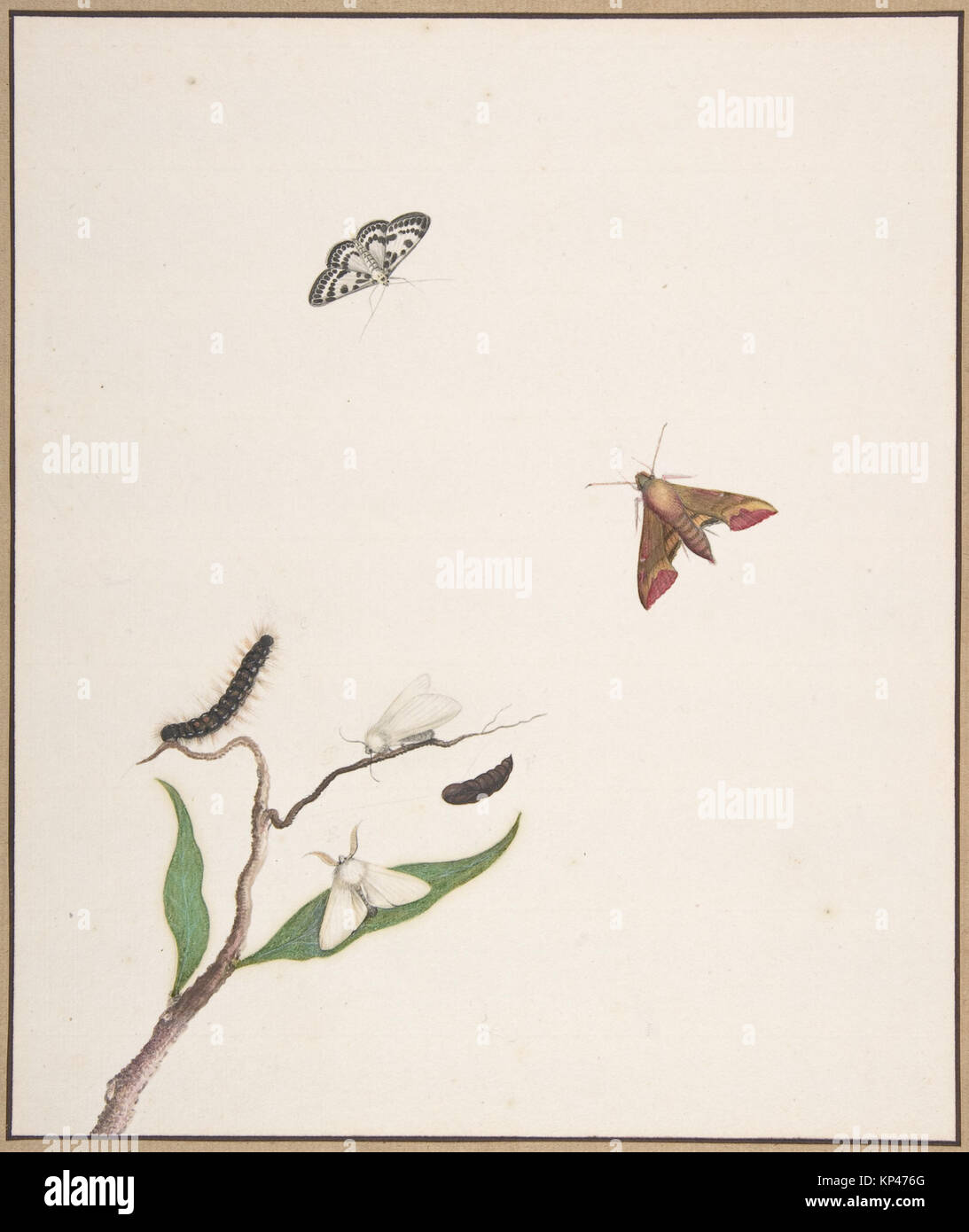 Dessin de Nicolaas Struyk (Amsterdam 1686-1769), début du XVIIIe siècle au milieu du XVIIIe siècle. Stylo et encre noire et aquarelle sur graphite, 9 7/16 x 7 15/16 po. (23,9 x 20,2 cm). Banque D'Images