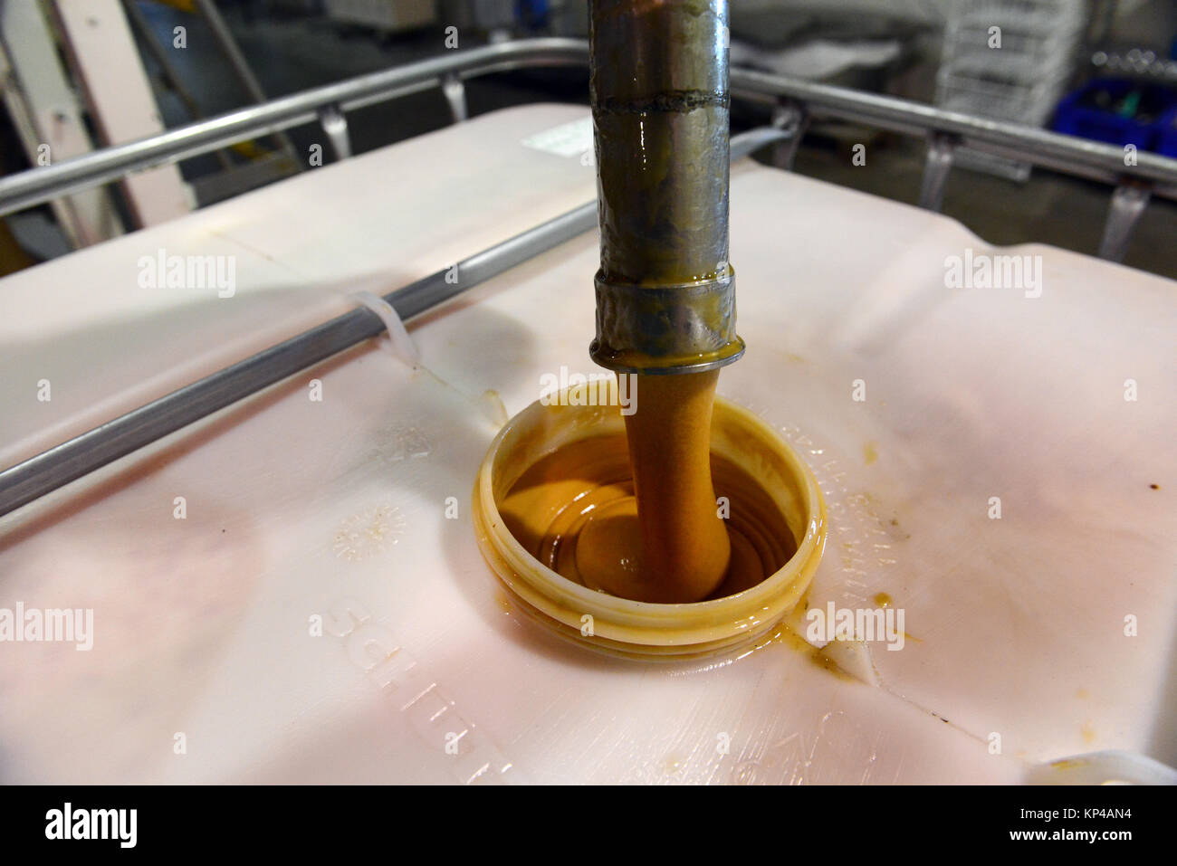 La production de miel de Manuka de Nouvelle Zélande. Banque D'Images