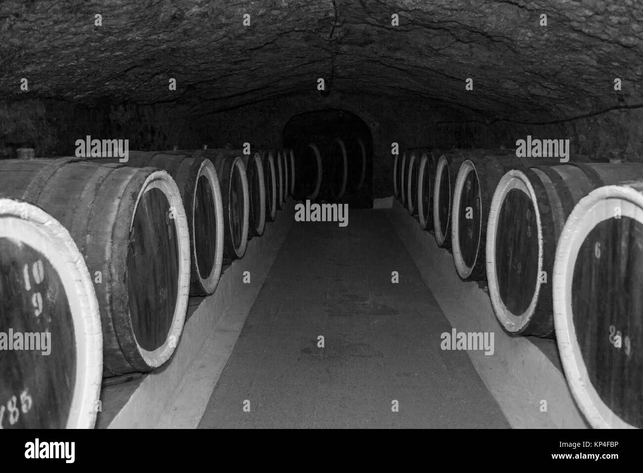 Une ancienne cave à vin avec des tonneaux en chêne, de barils de vin dans des caves anciennes Banque D'Images