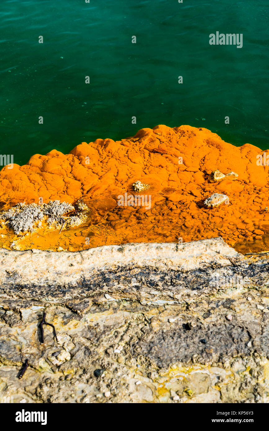 Le Champagne Pool, bassin d'eau chaude naturelles de la zone thermale de & Banque D'Images