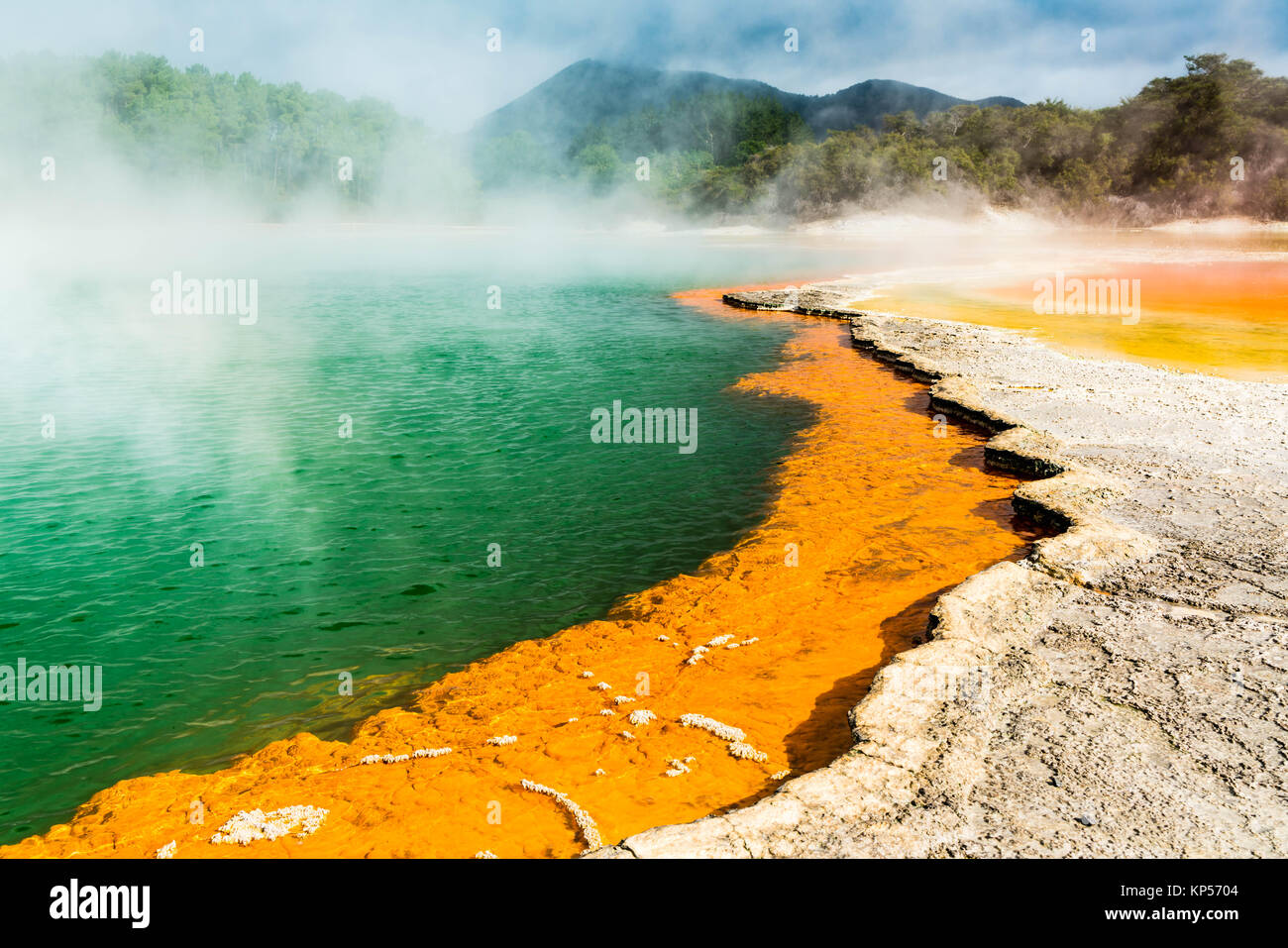 Le Champagne Pool, bassin d'eau chaude naturelles de la zone thermale de & Banque D'Images