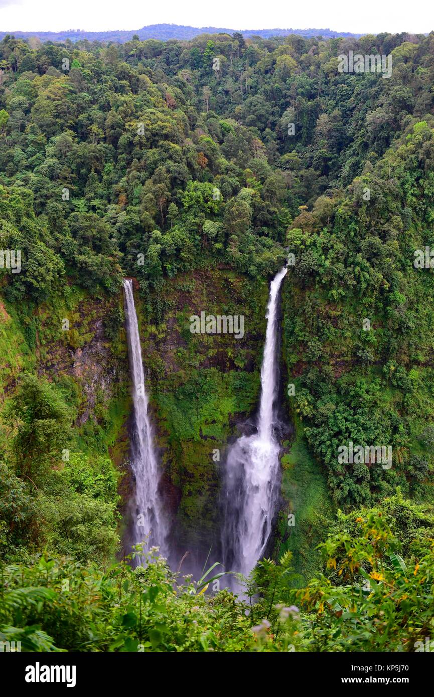 Cascade de Tad Fane,Plateau des Bolavens,Pakse Laos,,Asie du sud-est. Banque D'Images
