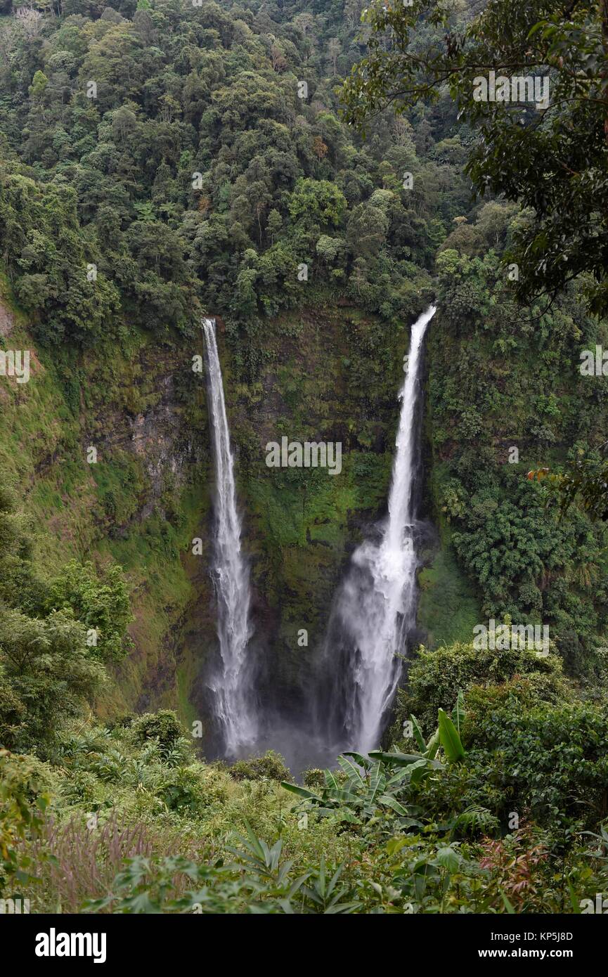 Cascade de Tad Fane,Plateau des Bolavens,Pakse Laos,,Asie du sud-est. Banque D'Images