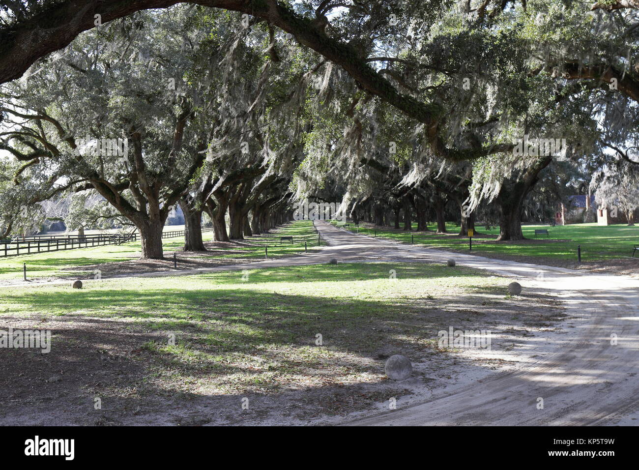 Oak Alley - Boone Hall Plantation - Charleston, SC - USA Banque D'Images