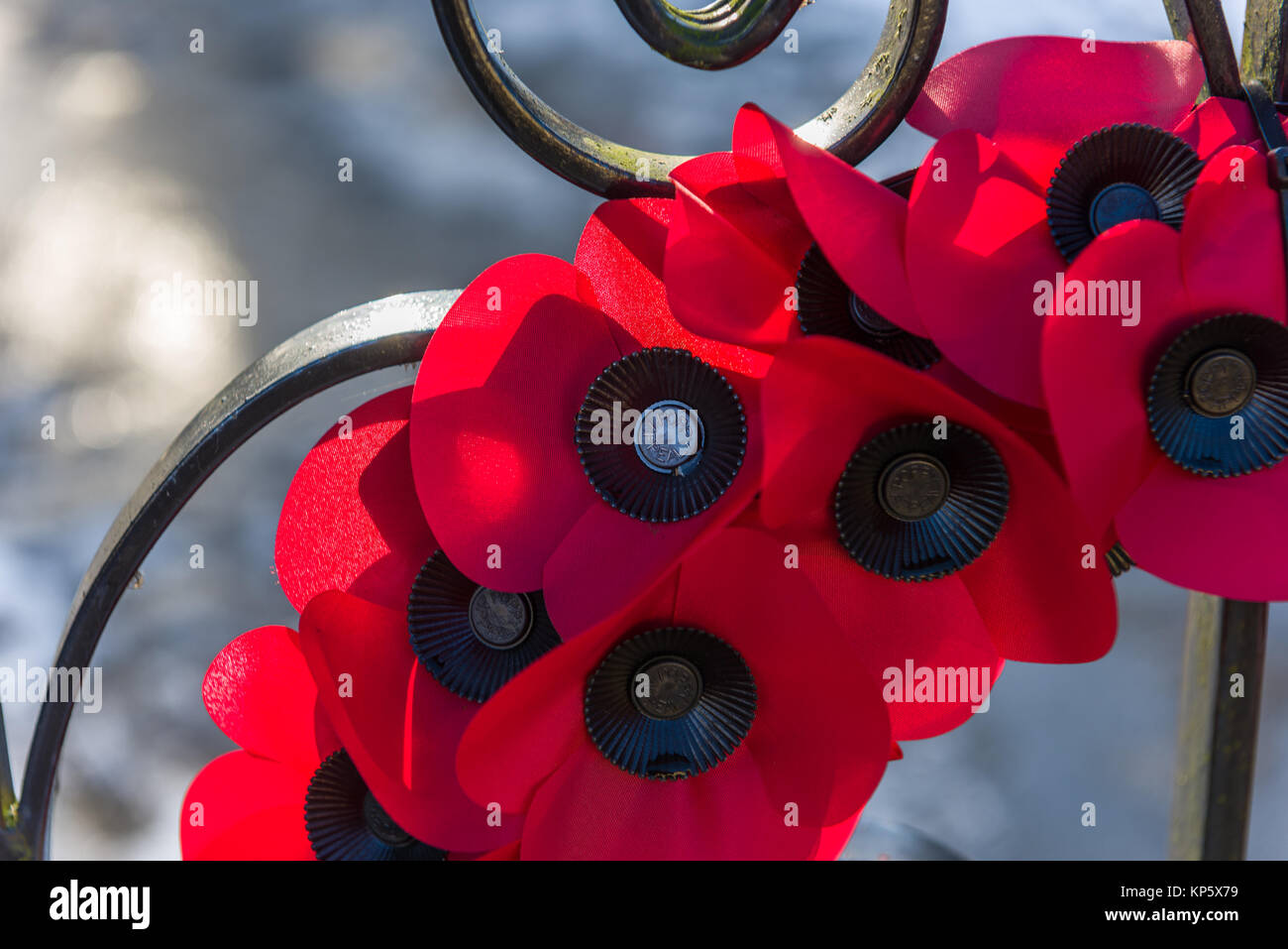 Une couronne de coquelicots sur un mémorial vibrations dans la brise. Banque D'Images