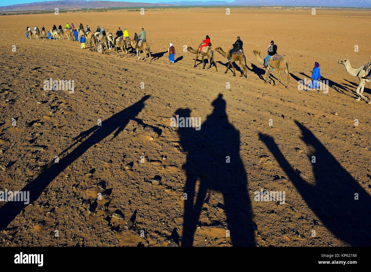 Tourisme dans le désert près de Zagora, au sud du Maroc. Banque D'Images