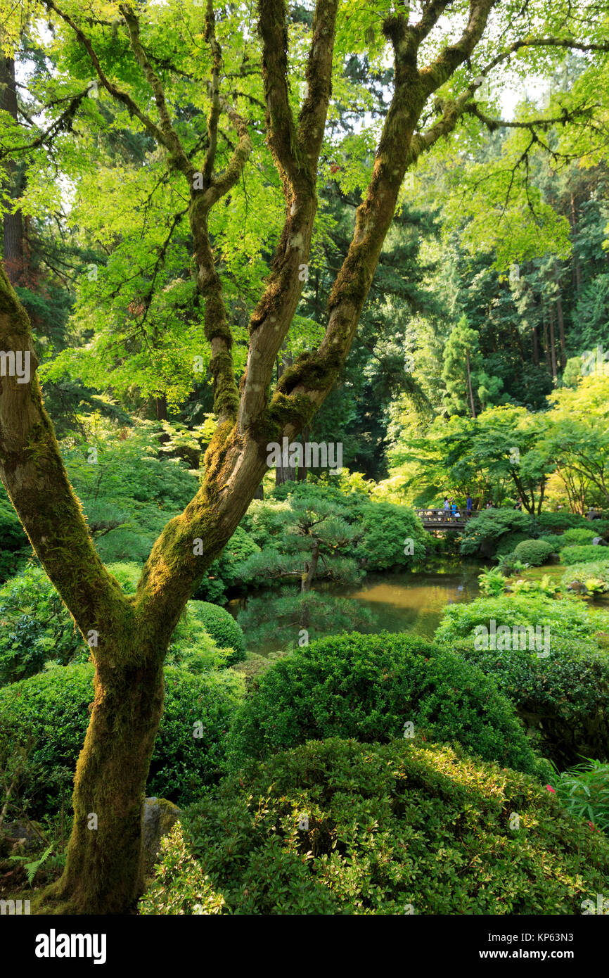 Jardin japonais de Portland, Portland, Oregon, USA Banque D'Images