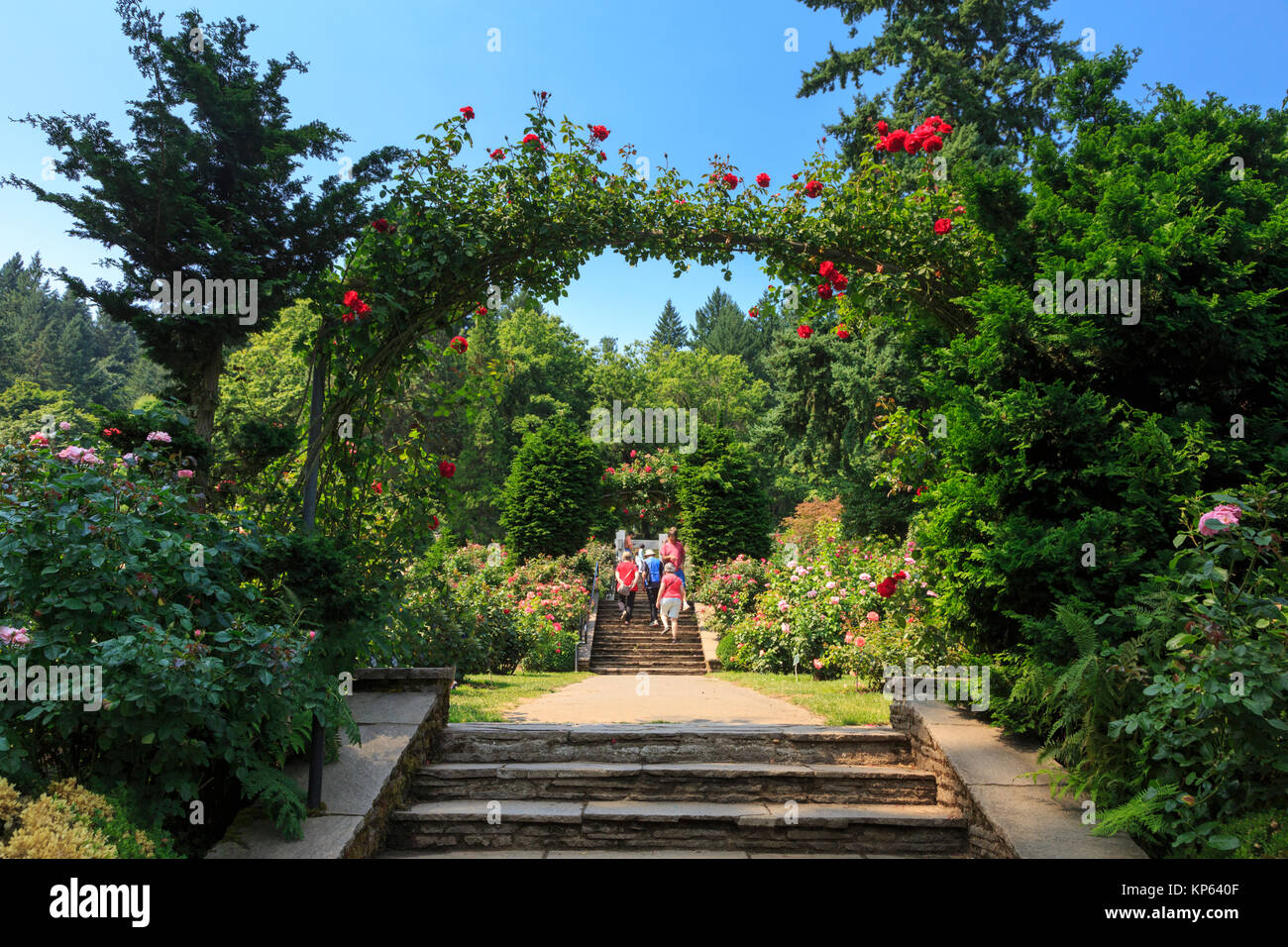 Test International Rose Garden, Portland, Oregon, USA Banque D'Images