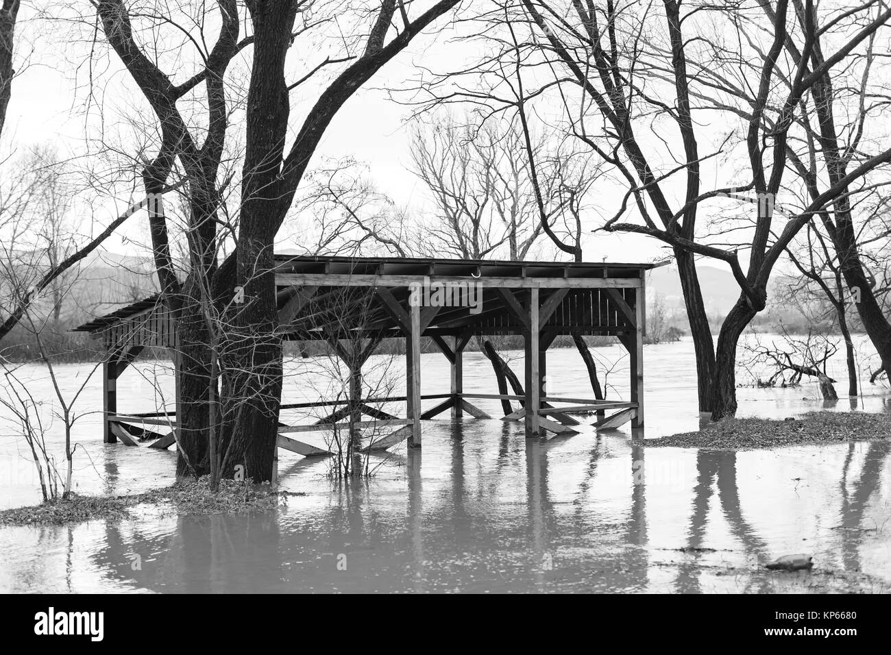 La rivière après les averses sont sortis des banques. L'inondation de rivière, arbres après une inondation Banque D'Images