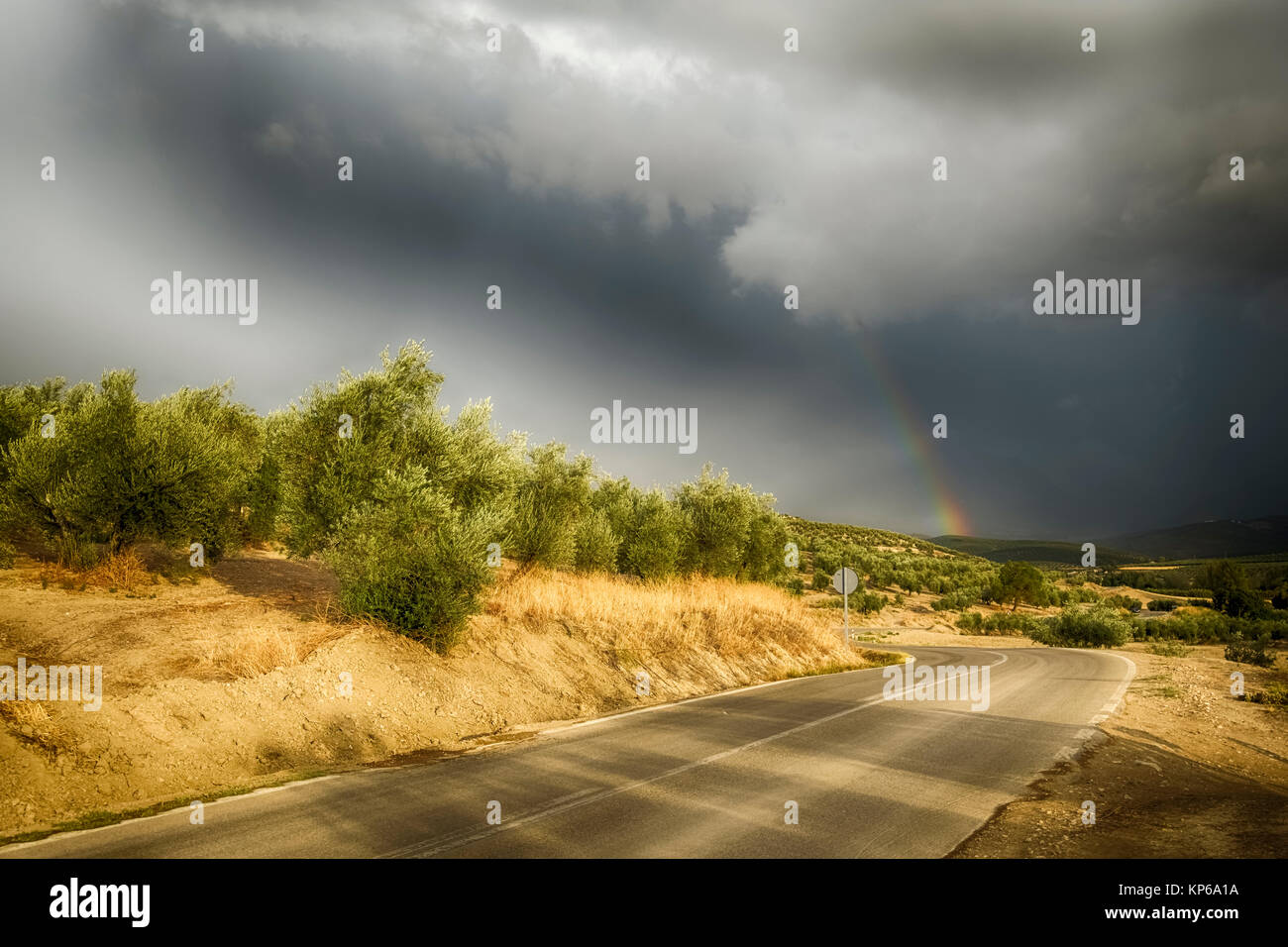 Route asphaltée serpente à travers un paysage d'oliviers avec un arc-en-ciel dans la distance et de sombres nuages d'une tempête Banque D'Images Route asphaltée serpente à travers un paysage d'oliviers avec un arc-en-ciel dans la distance et de sombres nuages d'une tempête Banque D'Images