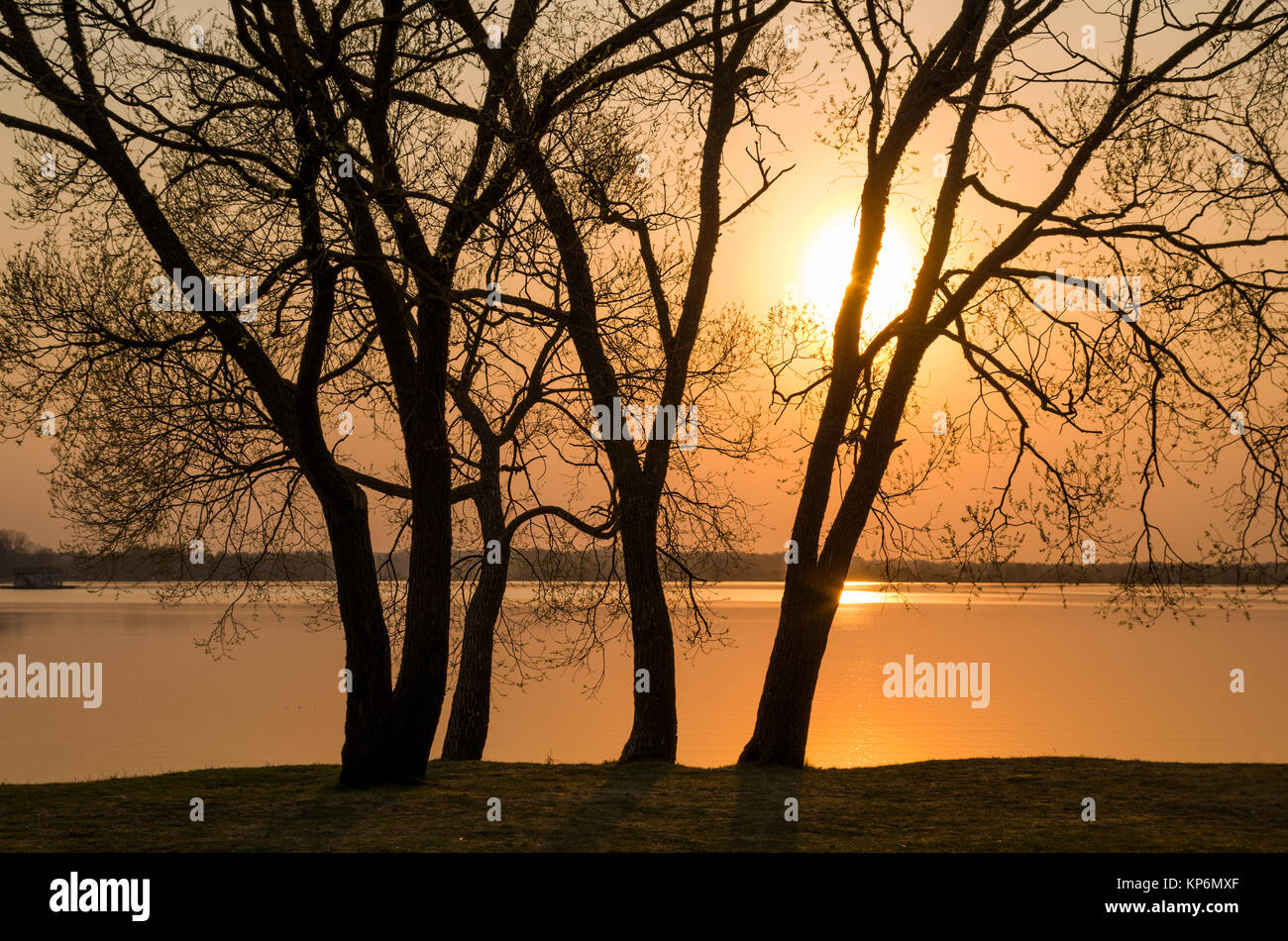 Quelques silhouettes d'arbres magnifiques contre un paramètre white sun sur une rive du fleuve avec voyant orange remplissant tout. Banque D'Images