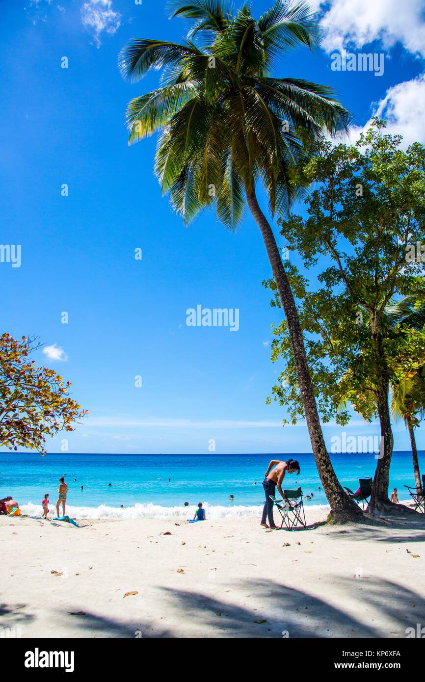 Le Paradis Parfait Bleu Des Plages Avec Palmiers Et Sable