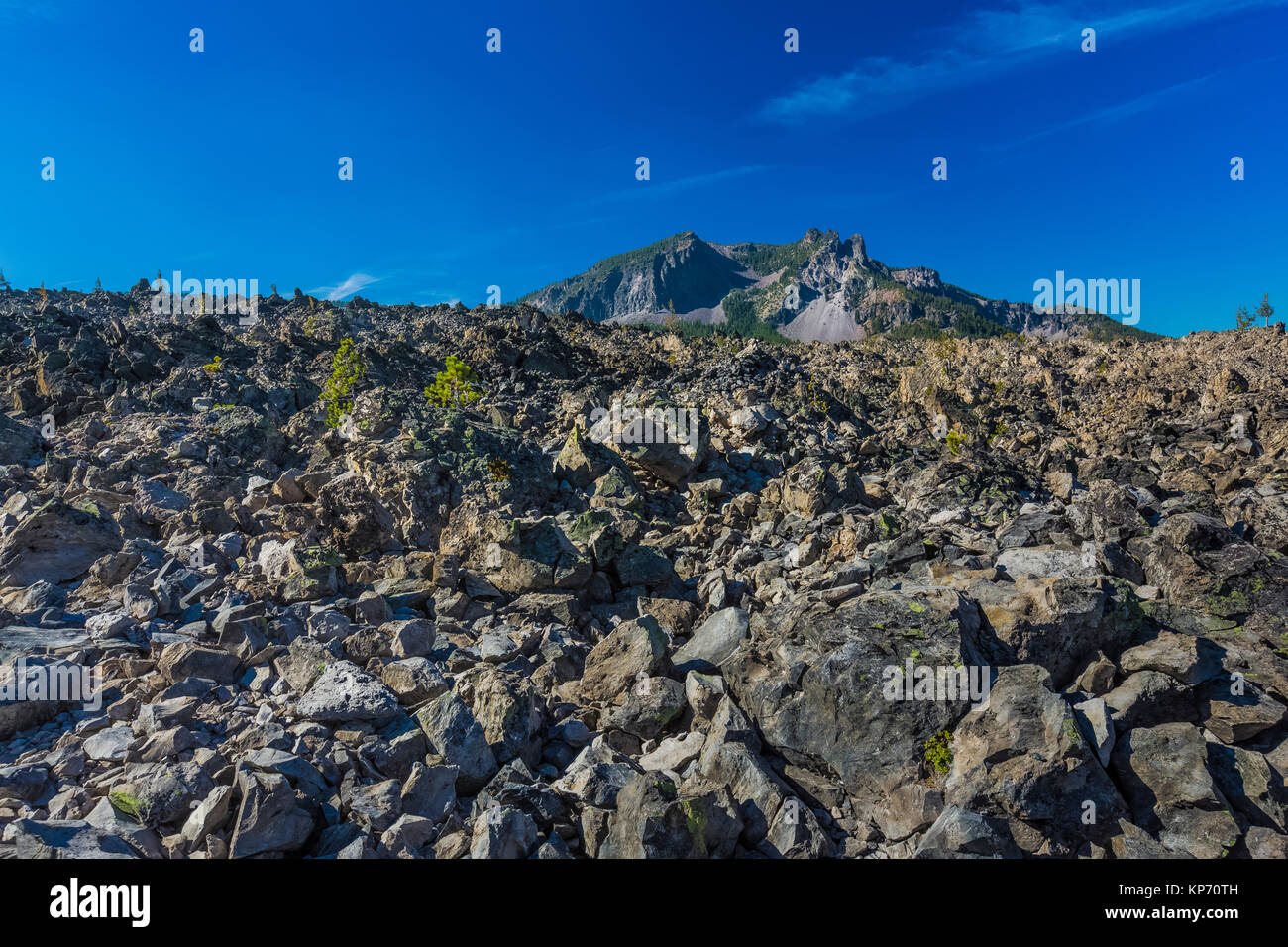 Pierre ponce et d'obsidienne le long de la grande piste de flux d'obsidienne dans National Monument Volcanique Newberry, centre de l'Oregon, USA Banque D'Images