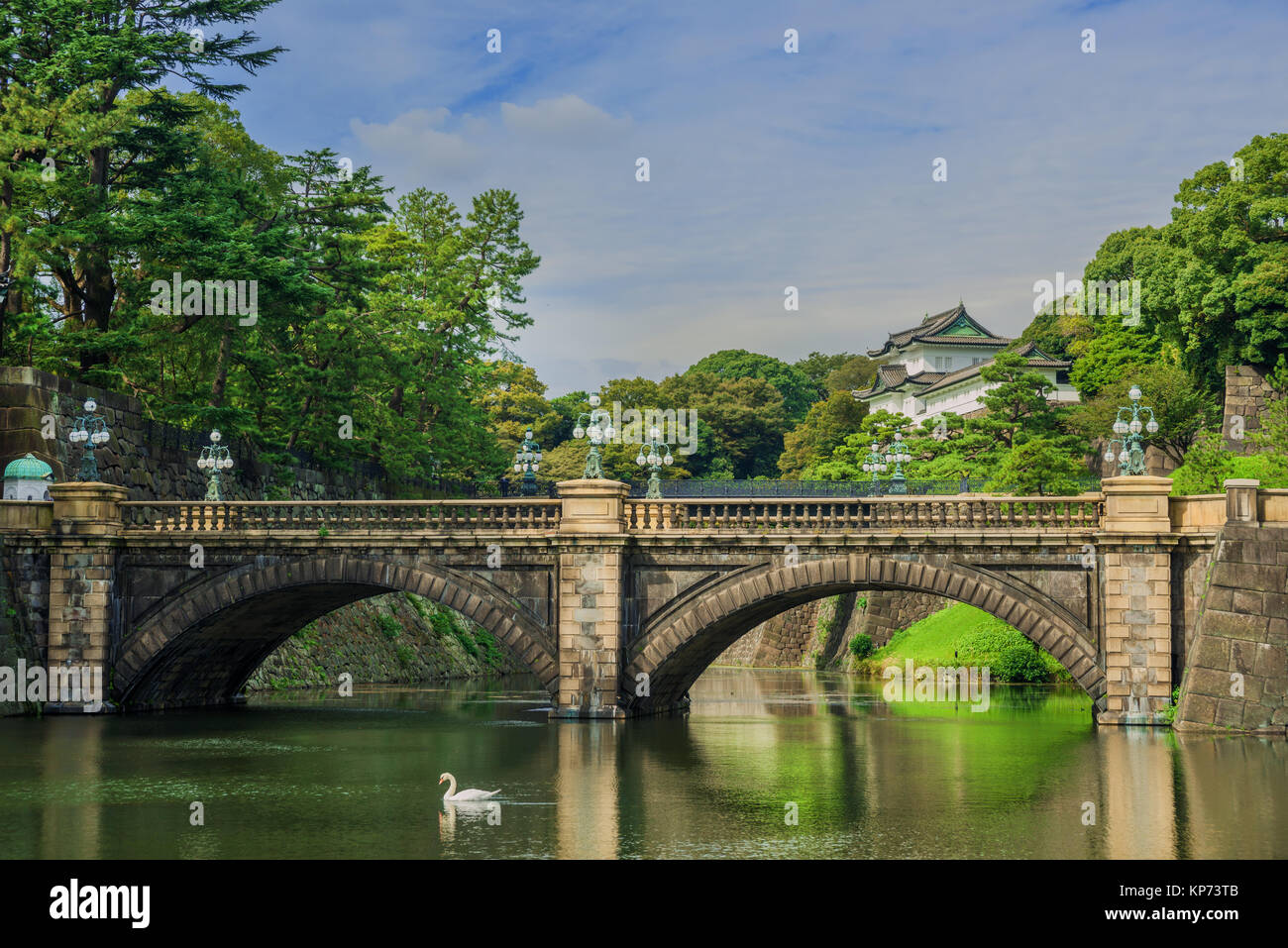 Palais Impérial de Tokyo jardins extérieurs avec le célèbre Pont Nijubashi et un cygne Banque D'Images