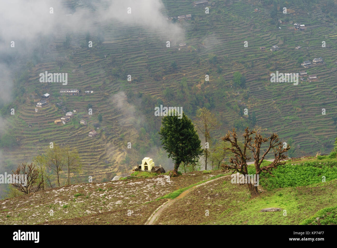 D'Ulleri,vue spectaculaire sur le champs en terrasses de l'autre côté de la vallée de la modi Khola. Sanctuaire de l'Annapurna, région du Népal. Banque D'Images