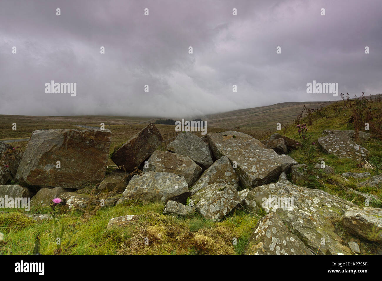 Comme le brouillard descend sur Harthope Moss, à l'automne, entre la partie supérieure et la région de Teesdale dans Weardale County Durham en Angleterre du Nord-Est. Banque D'Images