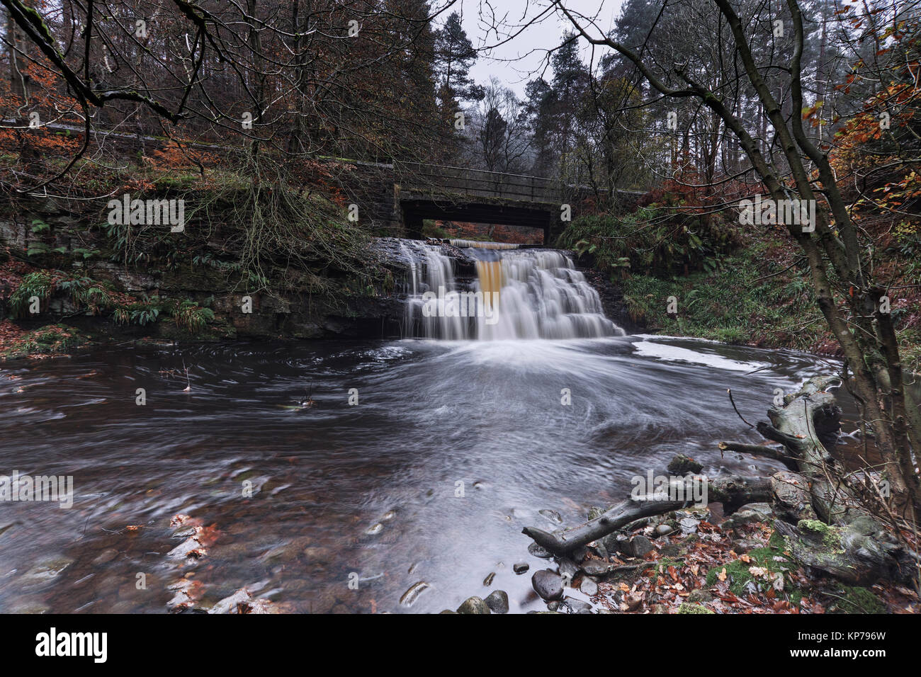 Trou Blackling Cascade dans le plein débit à Hamsterley forest dans le comté de Durham, Angleterre du Nord-Est. Banque D'Images