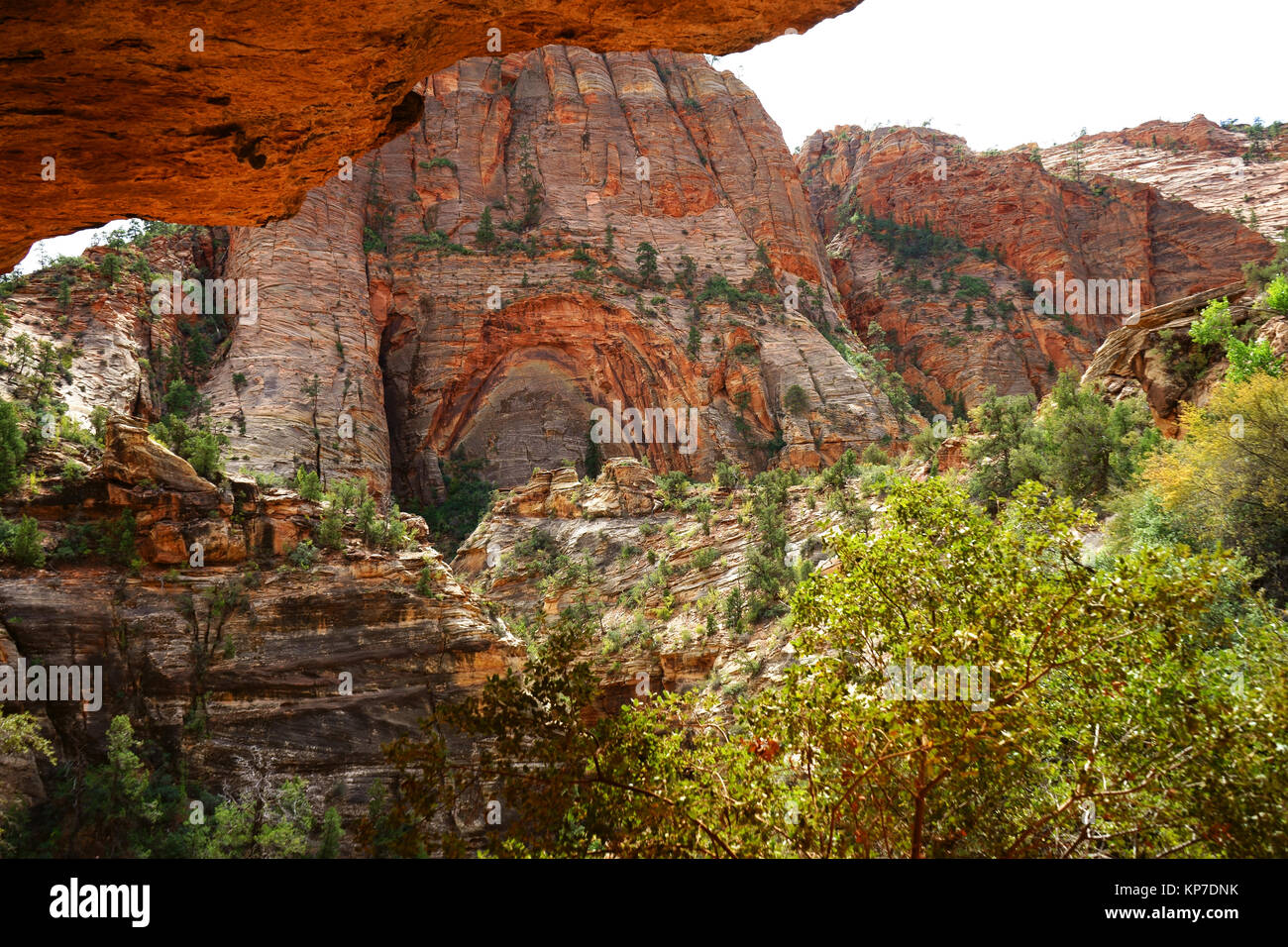 Canyon Overlook trail, Zion National Park, Utah, USA Banque D'Images