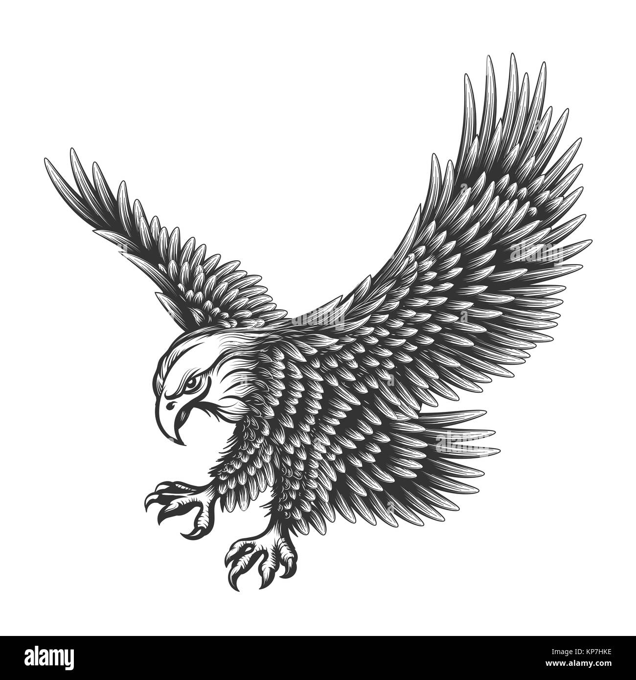 L'emblème Flying Eagle tirées dans leur gravure isolé sur blanc. Symbole de la liberté américaine. Logo couleur rétro de Falcon. Illustration de Vecteur