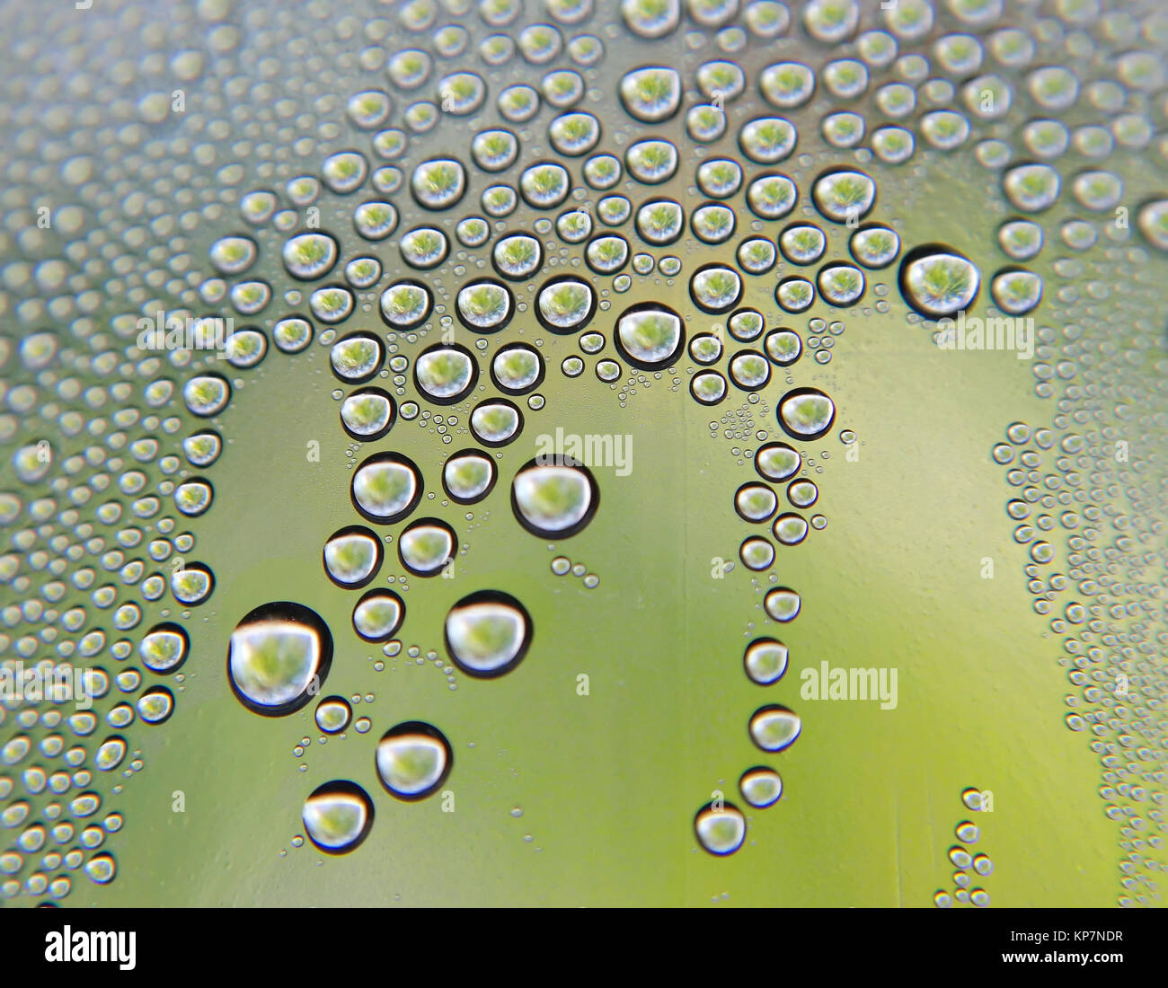 Gouttes d'eau sur le verre courbé Banque D'Images