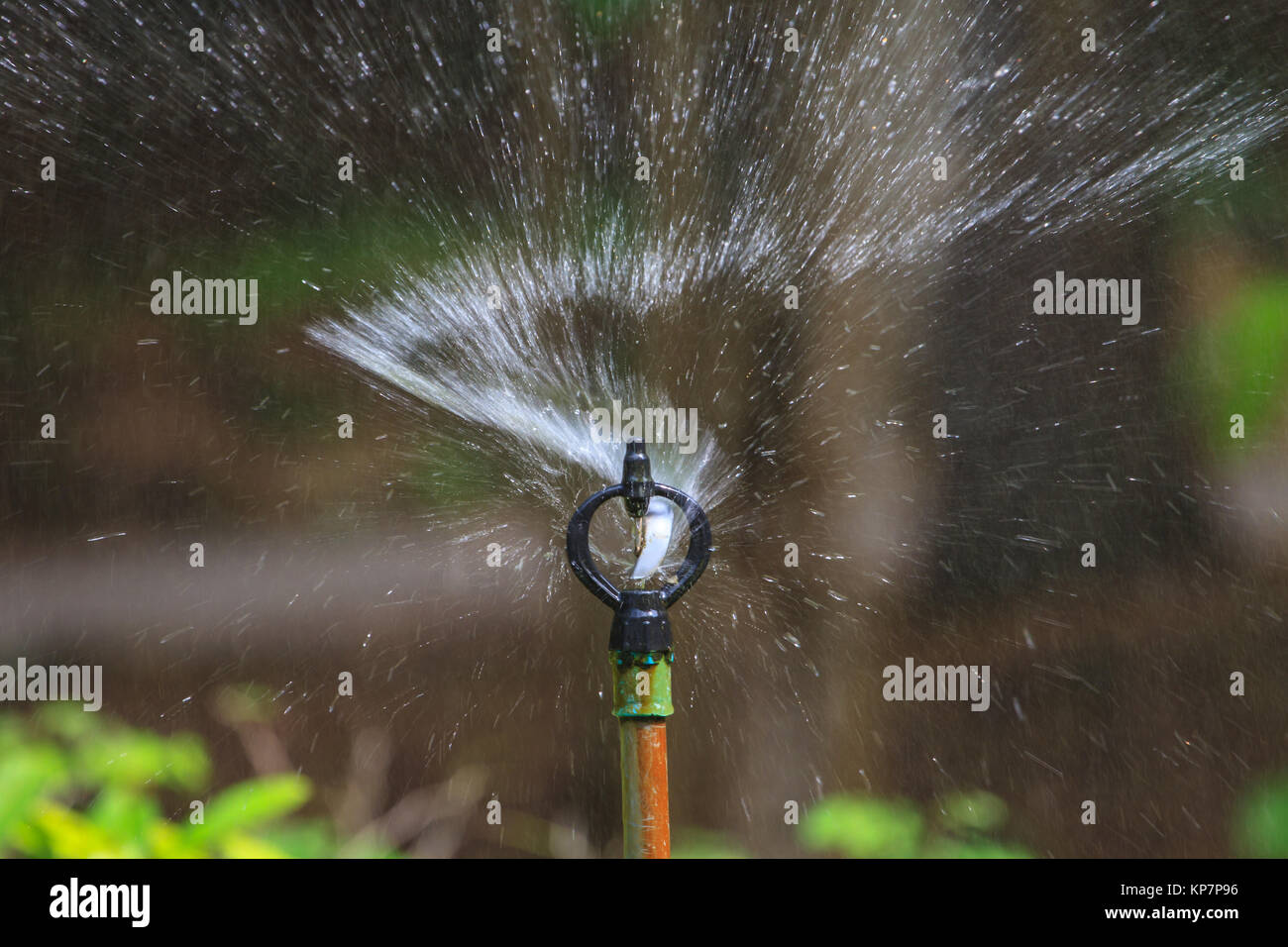 L'irrigation des champs agricoles Banque D'Images