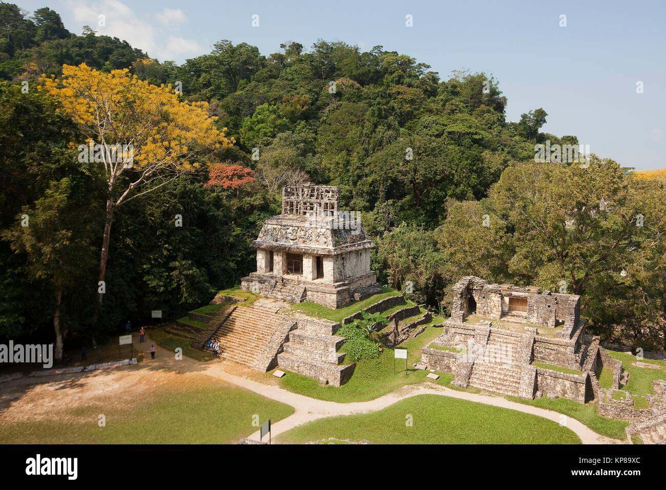 Vue de le Temple du Soleil, Palenque Palenque, site archéologique, l'État du Chiapas, au Mexique, en Amérique du Nord Banque D'Images