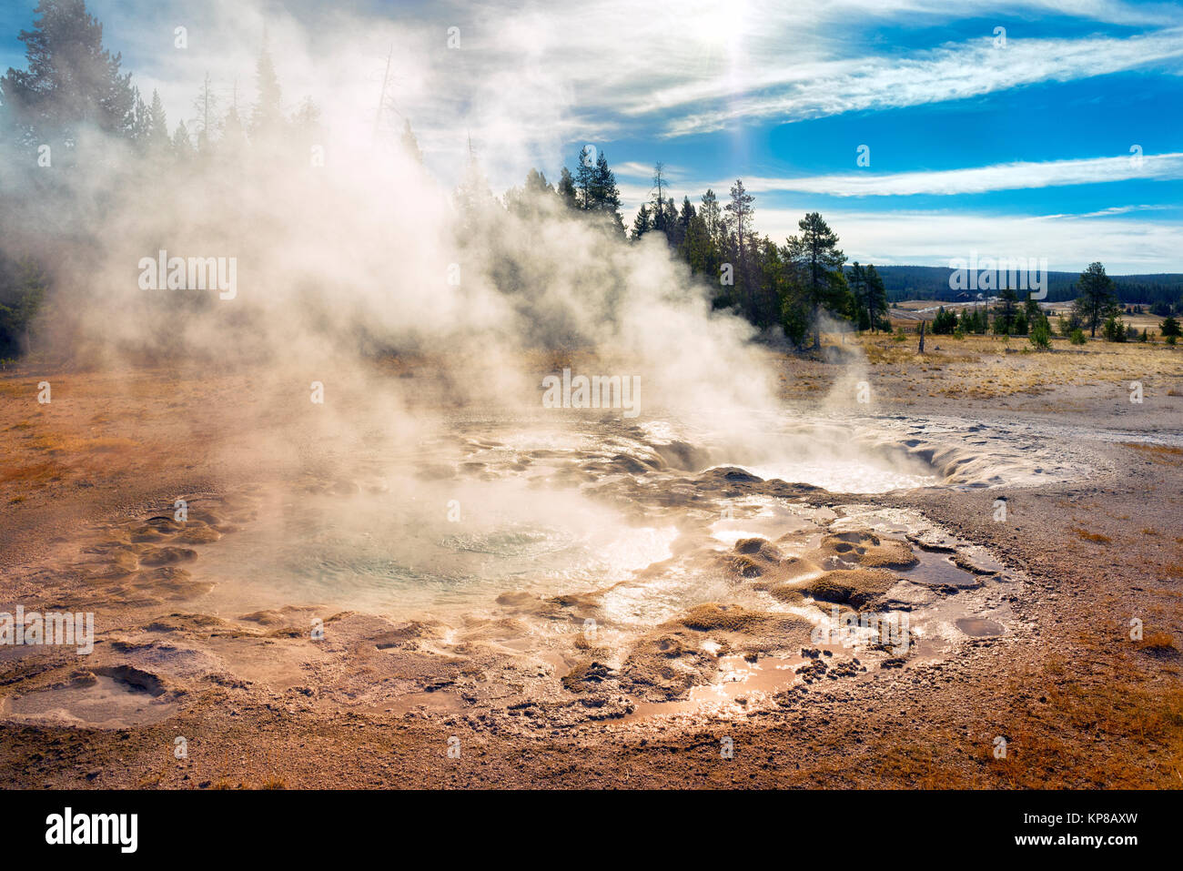 Zone thermique Yellowstone, Upper Geyser Basin, Parc National de Yellowstone, Wyoming, USA Banque D'Images