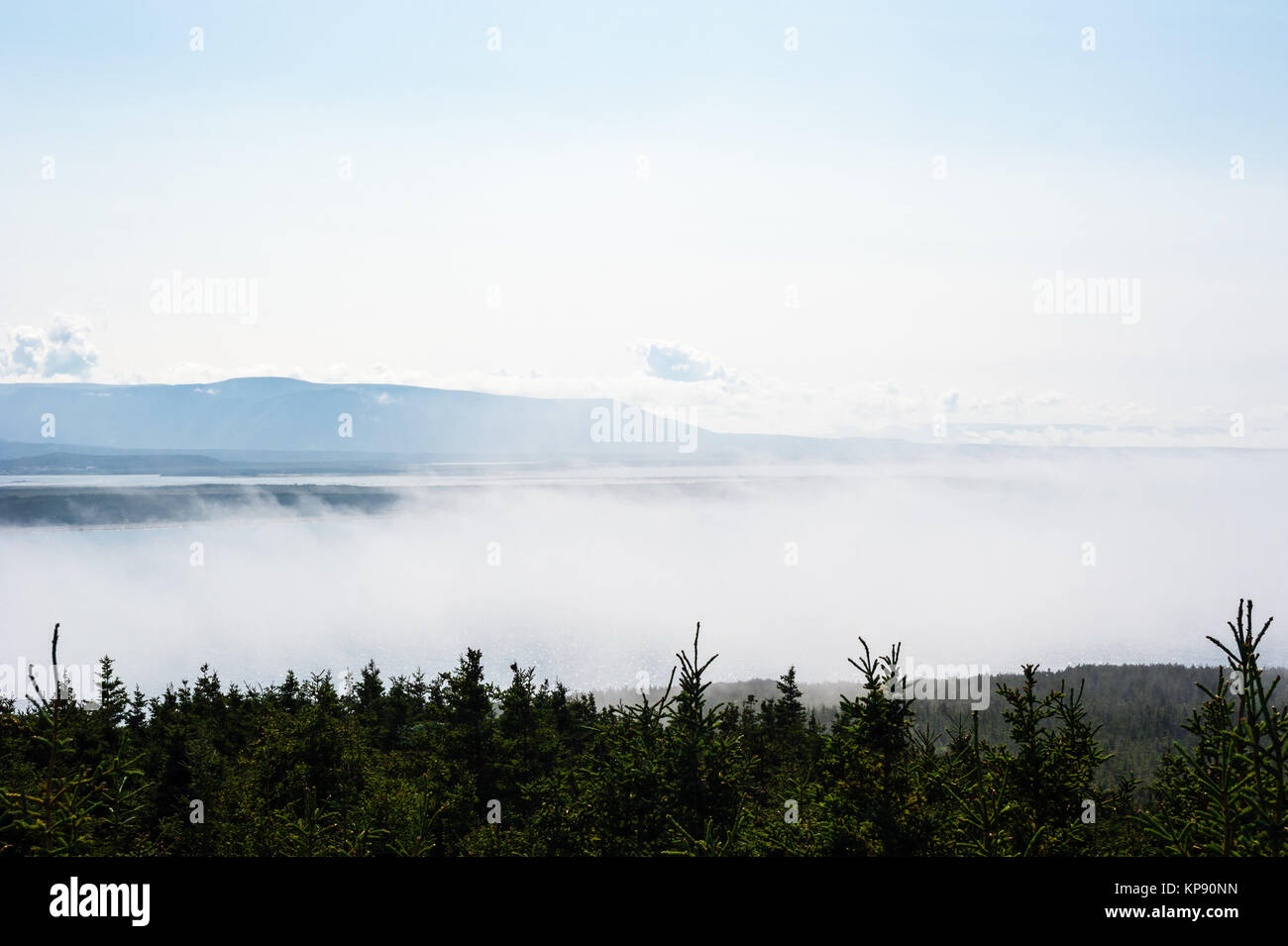 Brouillard faible entre les arbres et les montagnes lointaines Banque D'Images