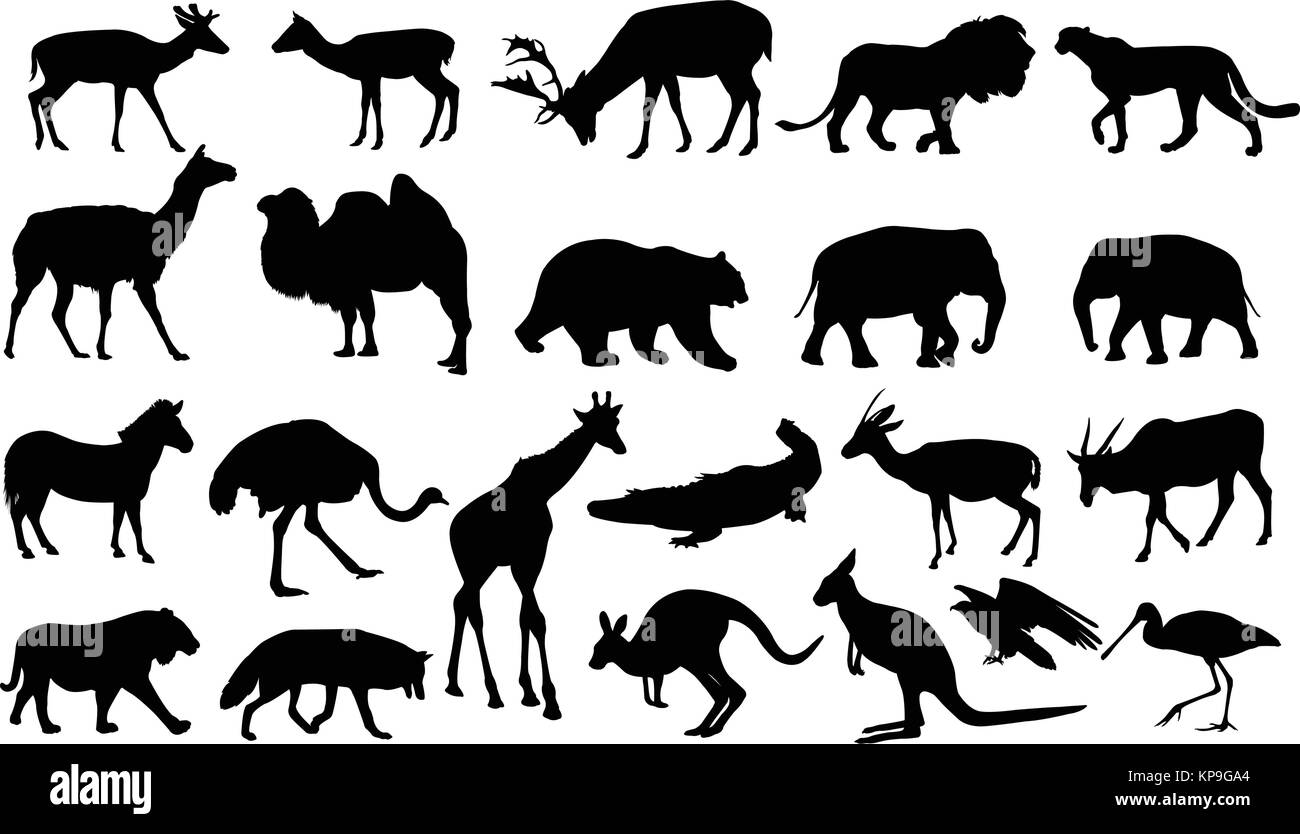 Les animaux de zoo collection - vector Illustration de Vecteur