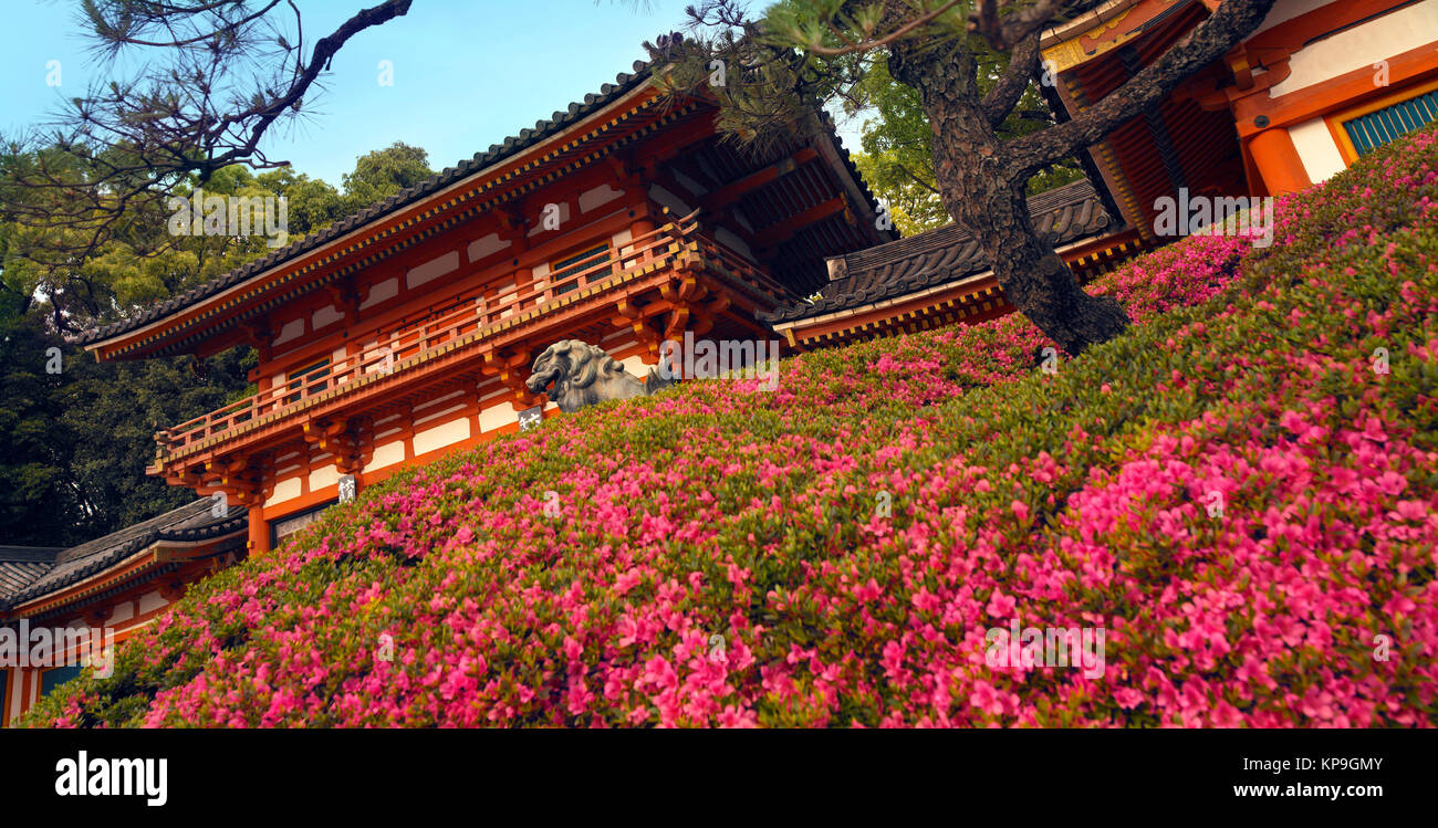 Yasaka dans parc Maruyama dans le quartier de Gion de Kyoto, au Japon. Le parc est un lieu désignés au niveau national d'une beauté pittoresque. Banque D'Images