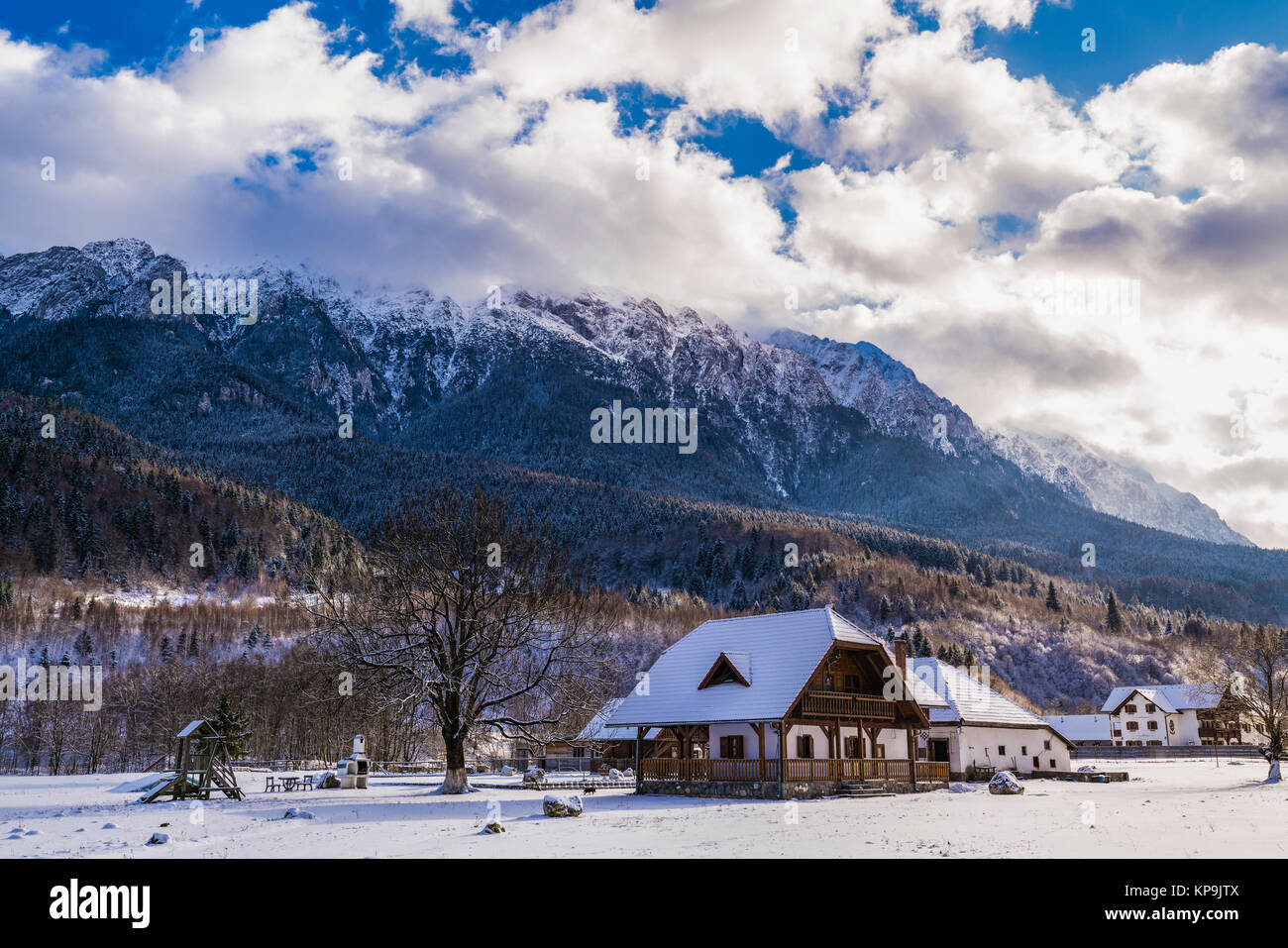 Beau paysage d'hiver avec Carpati Piatra Craiului en Roumanie Banque D'Images
