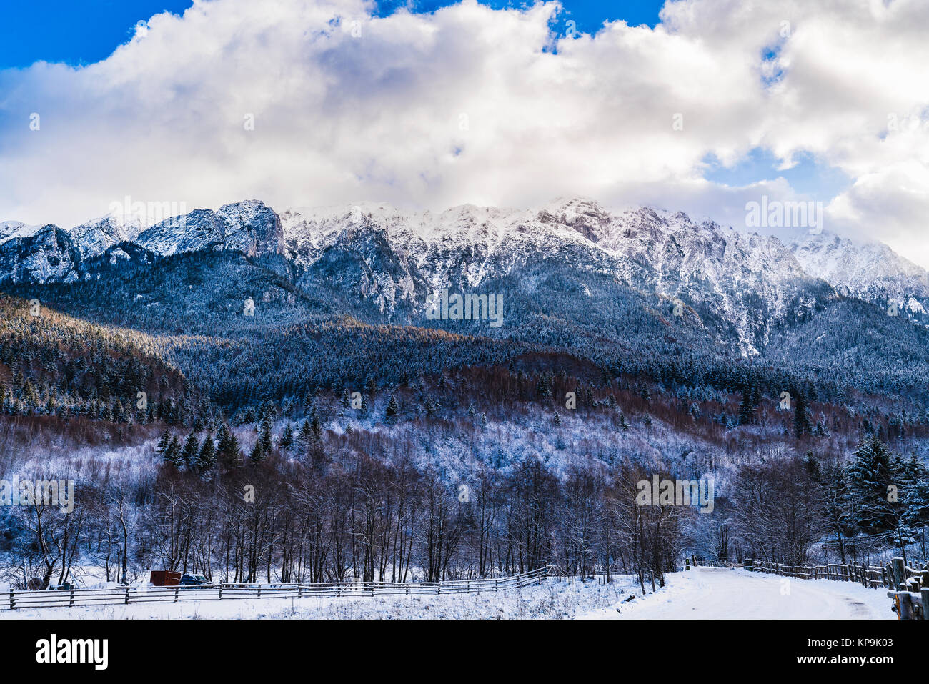 Beau paysage d'hiver avec Carpati Piatra Craiului en Roumanie Banque D'Images