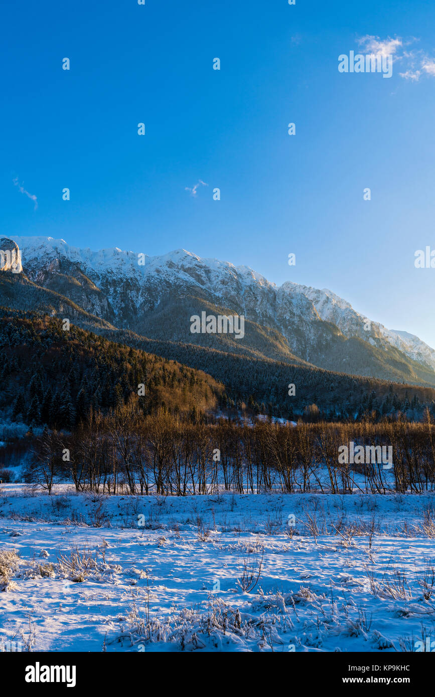 Beau paysage d'hiver avec Carpati Piatra Craiului en Roumanie Banque D'Images