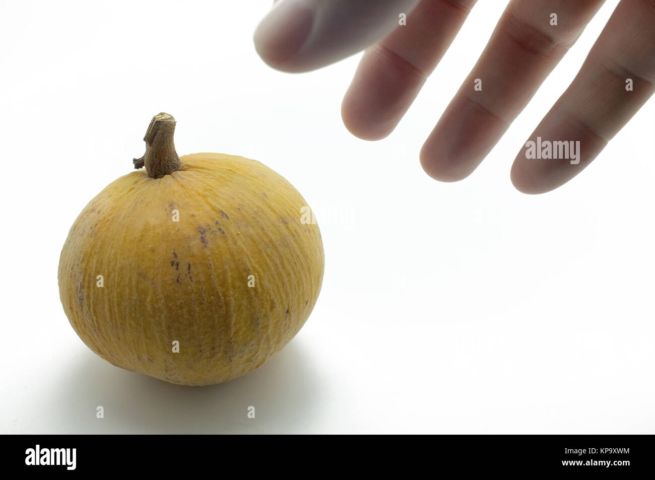 Fruits Santol isolé sur fond blanc Banque D'Images