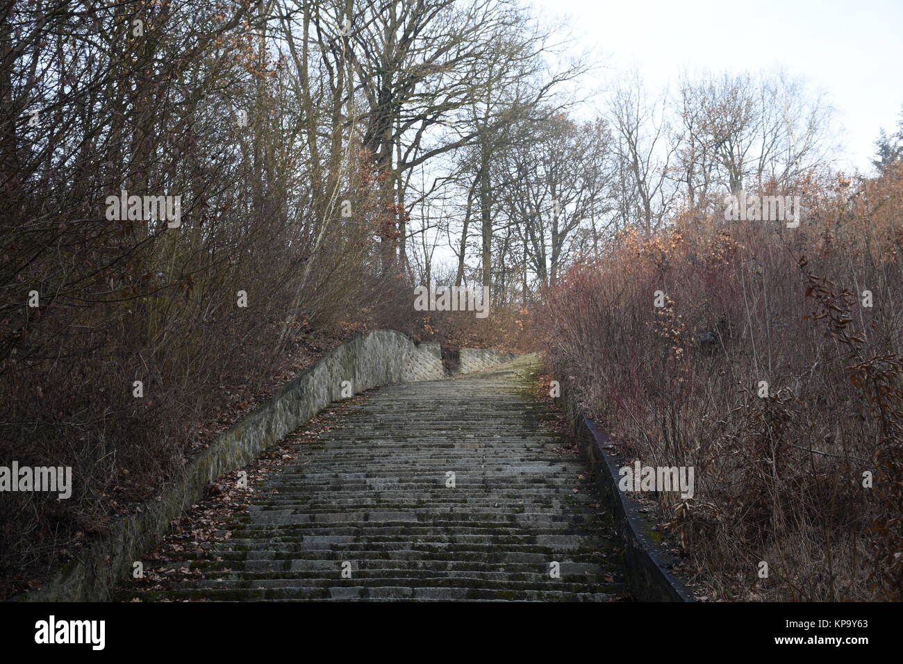 Camp de concentration,Â KZ Mauthausen,escaliers,de la mort,carrière,souvenir,plaque,holocaust Banque D'Images