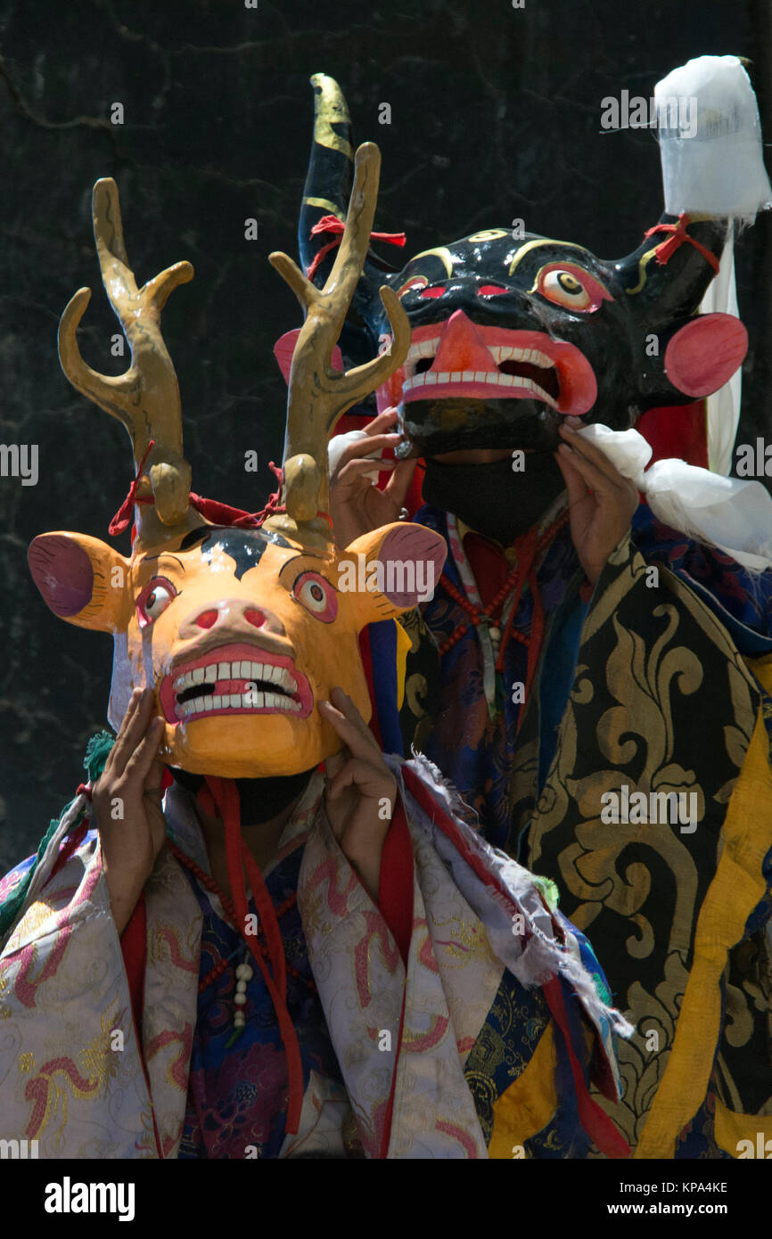 Les moines bouddhistes en masques rituels et Yak Bleu Jaune Deer effectuer la Danse du Tsam tibétain pendant la mystère, de l'Himalaya. Banque D'Images